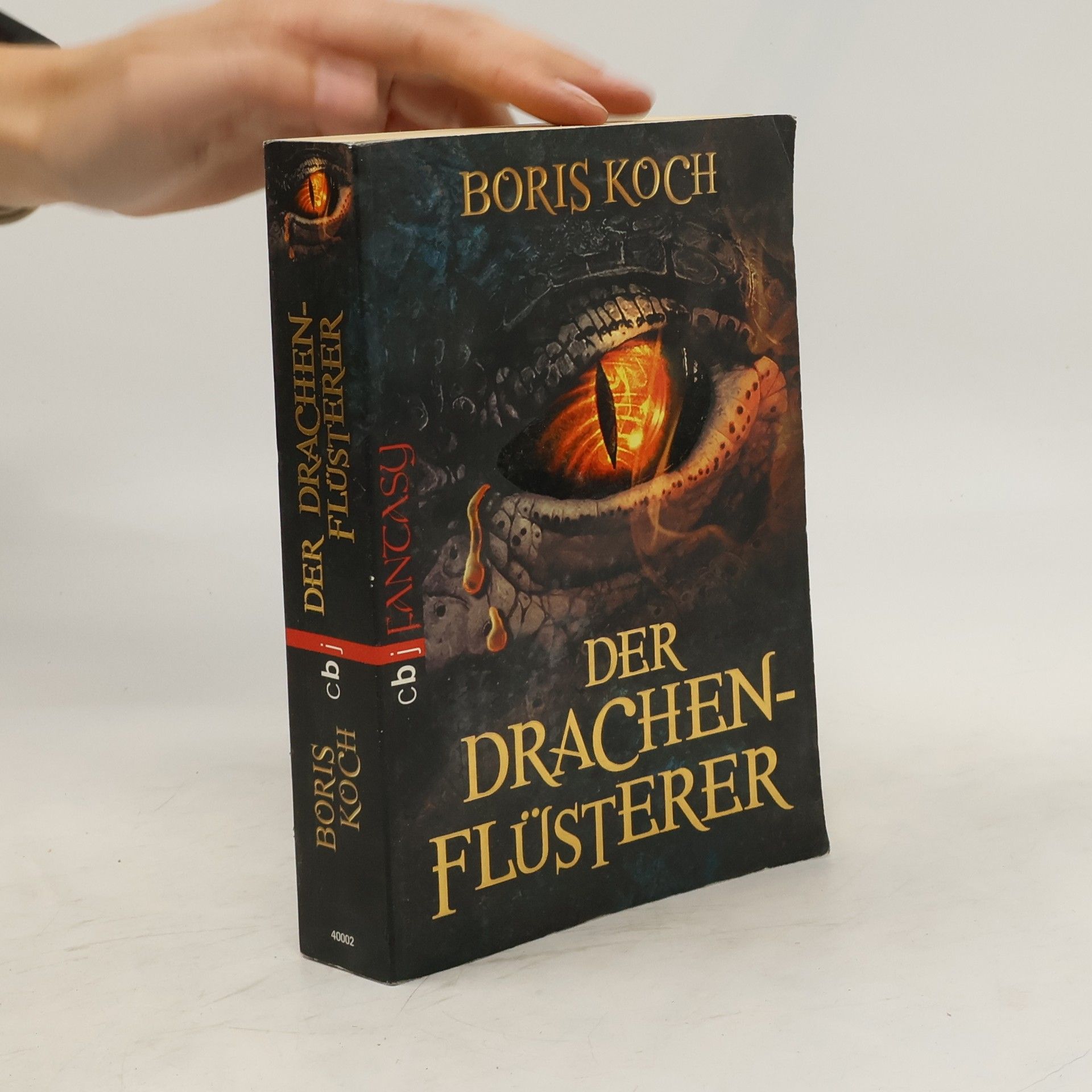 Boris Koch Der Drachenflüsterer