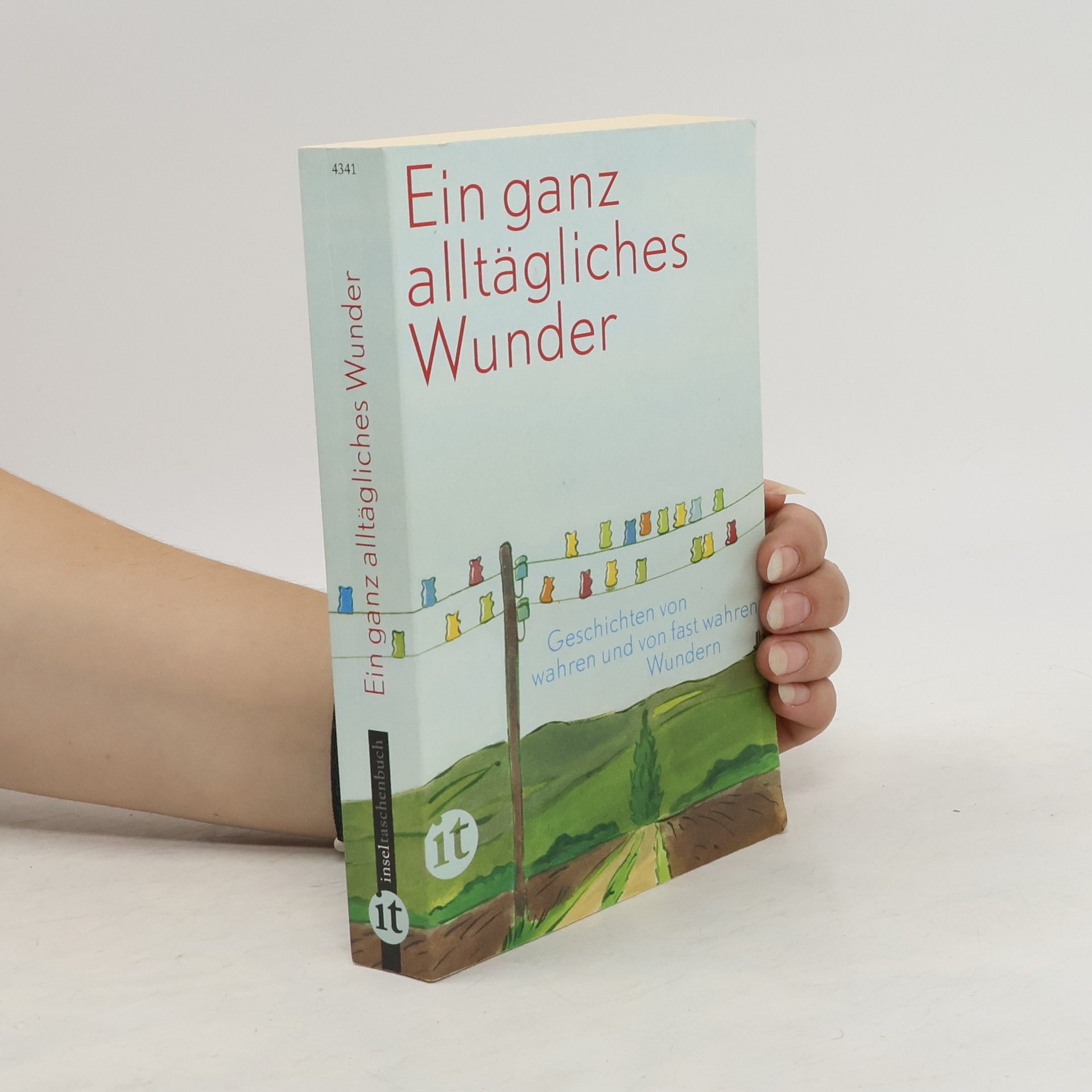 Clara Paul Ein ganz alltägliches Wunder
