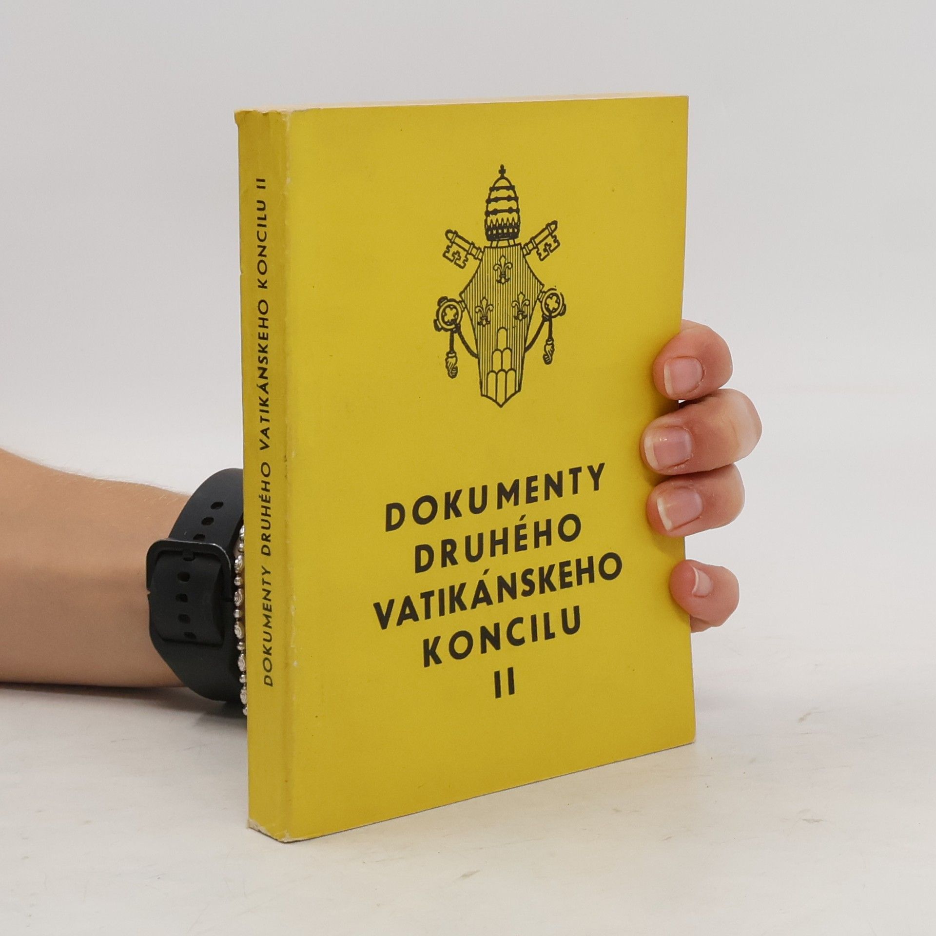 kolektiv Dokumenty druhého vatikánského koncilu II