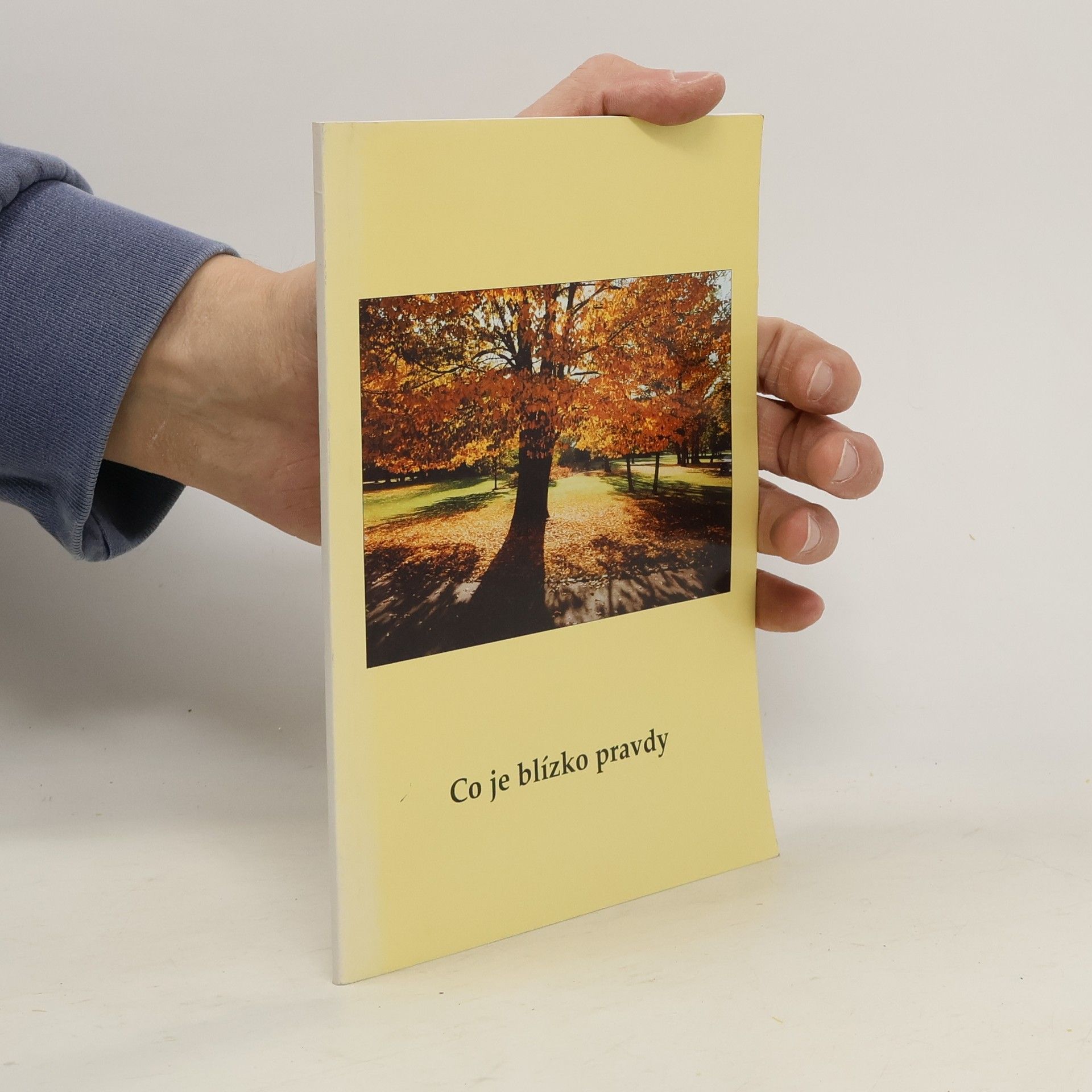 Marie Holečková Co je blízko pravdy : básně a fotografie