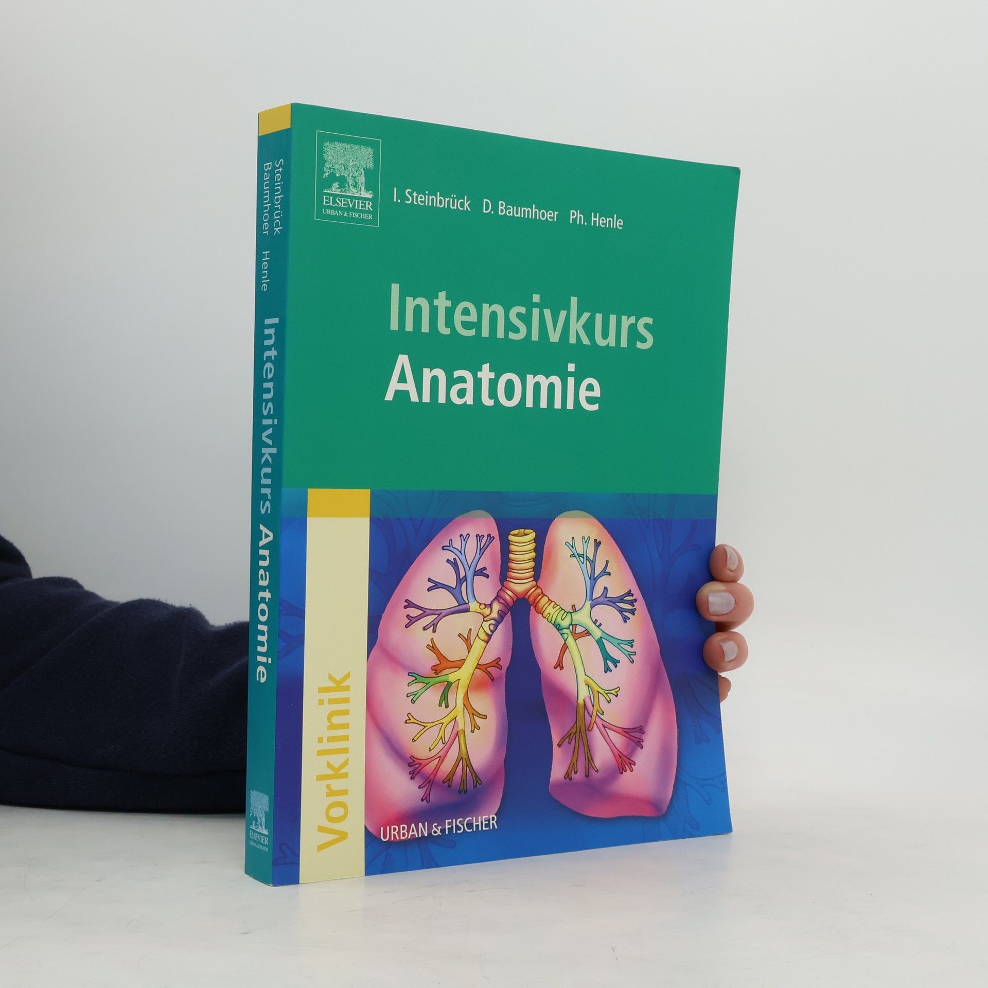 Ingo Steinbrück Intensivkurs Anatomie