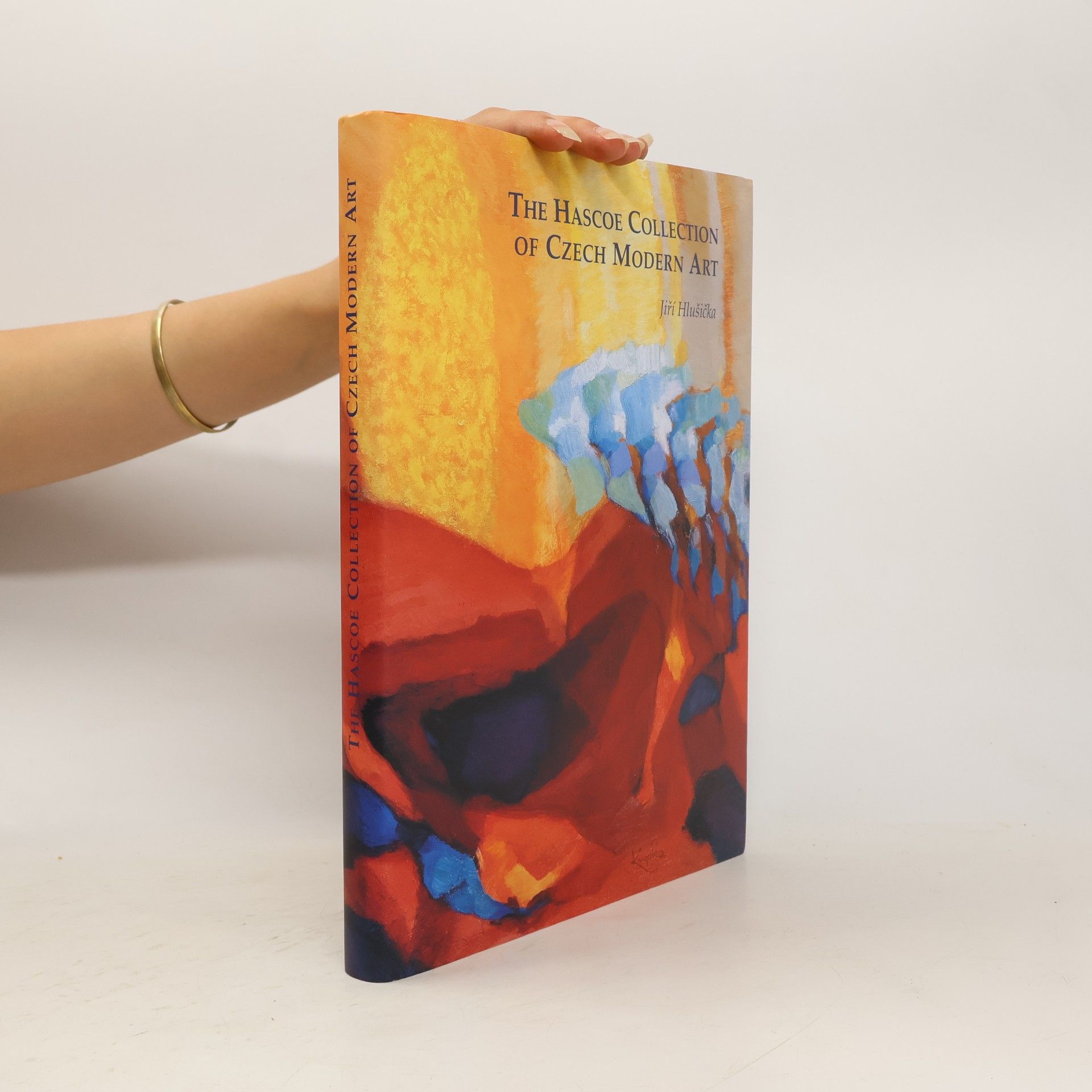 Jiří Hlušička The Hascoe Collection of Czech modern art : of the first half of the twentieth century