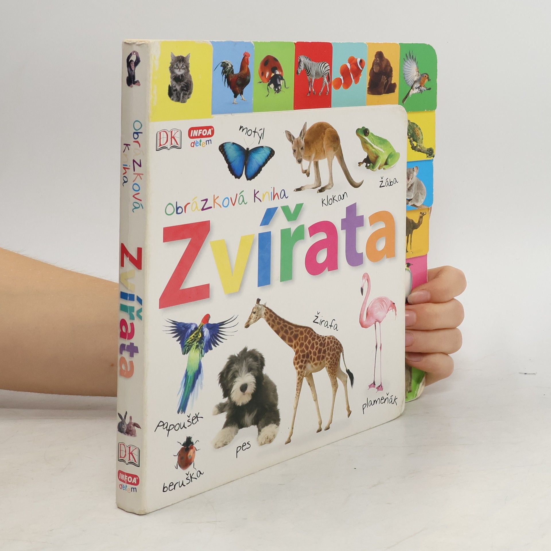 Autorenkollektiv Obrázková kniha. Zvířata