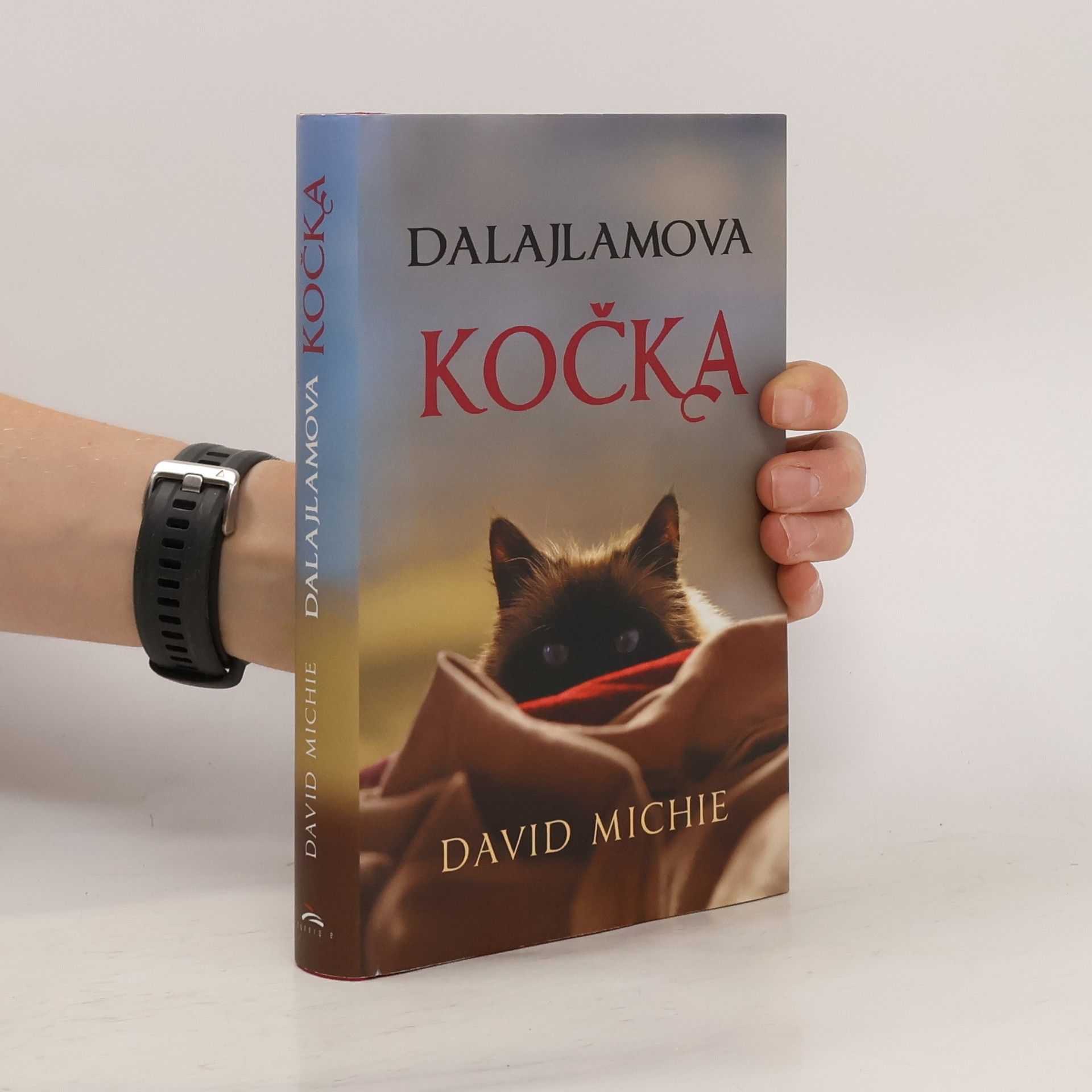 David Michie Dalajlamova kočka