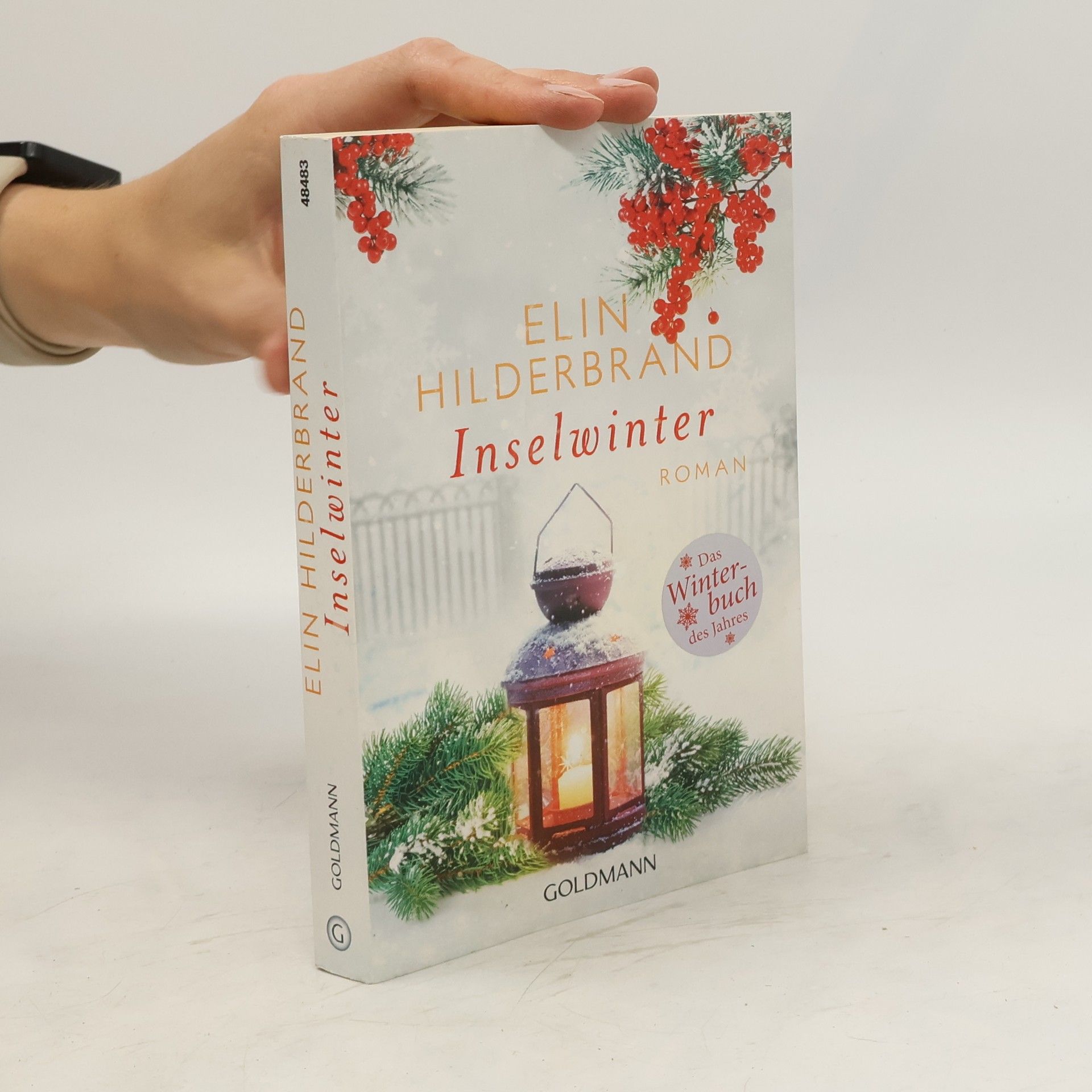 Elin Hilderbrand Inselwinter
