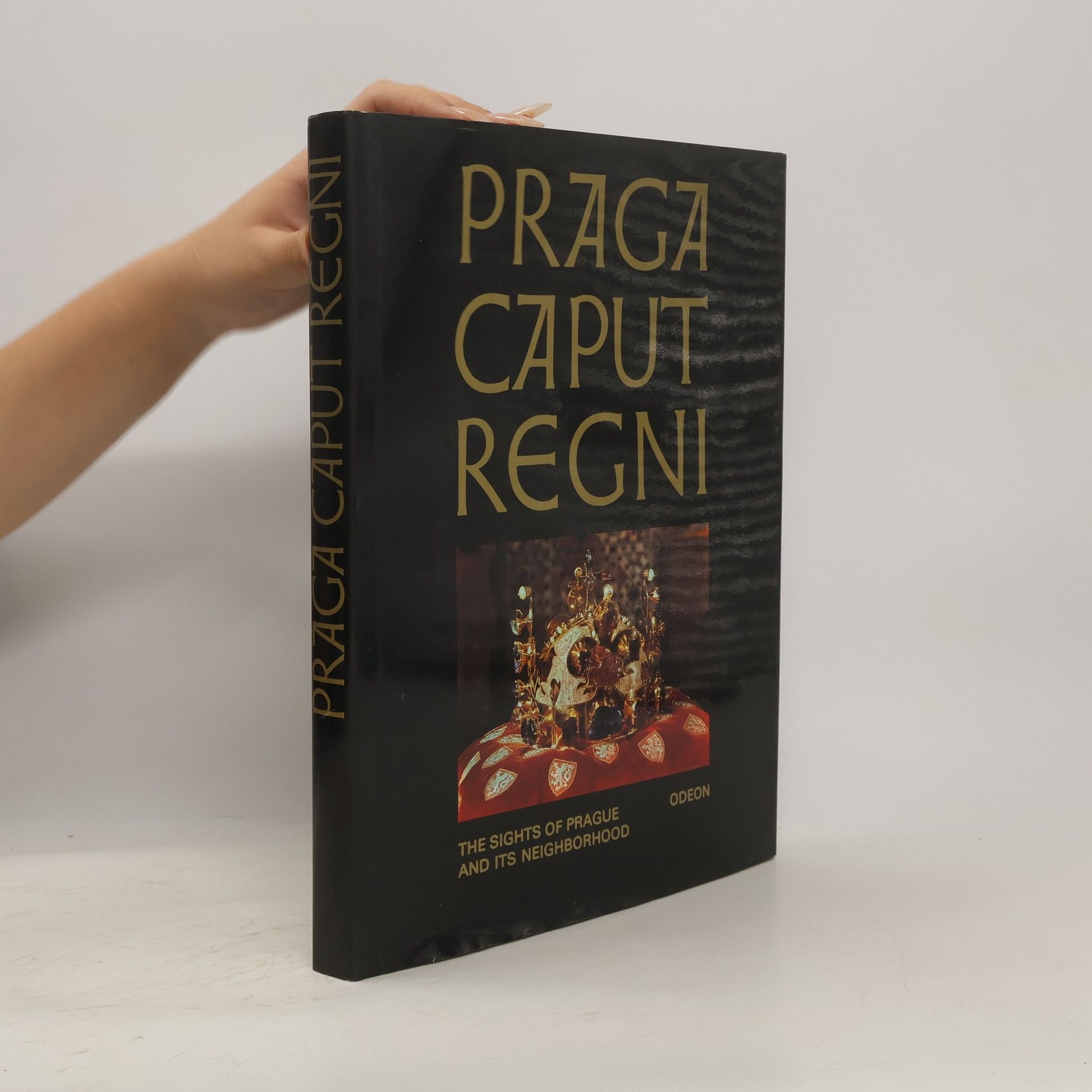 Karel Neubert Praga Caput Regni : The Sights of Prague and Its Neighborhood