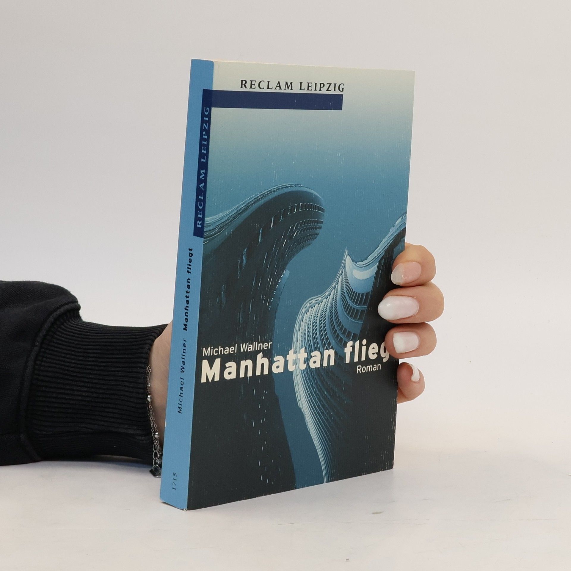 Michael Wallner Manhattan fliegt