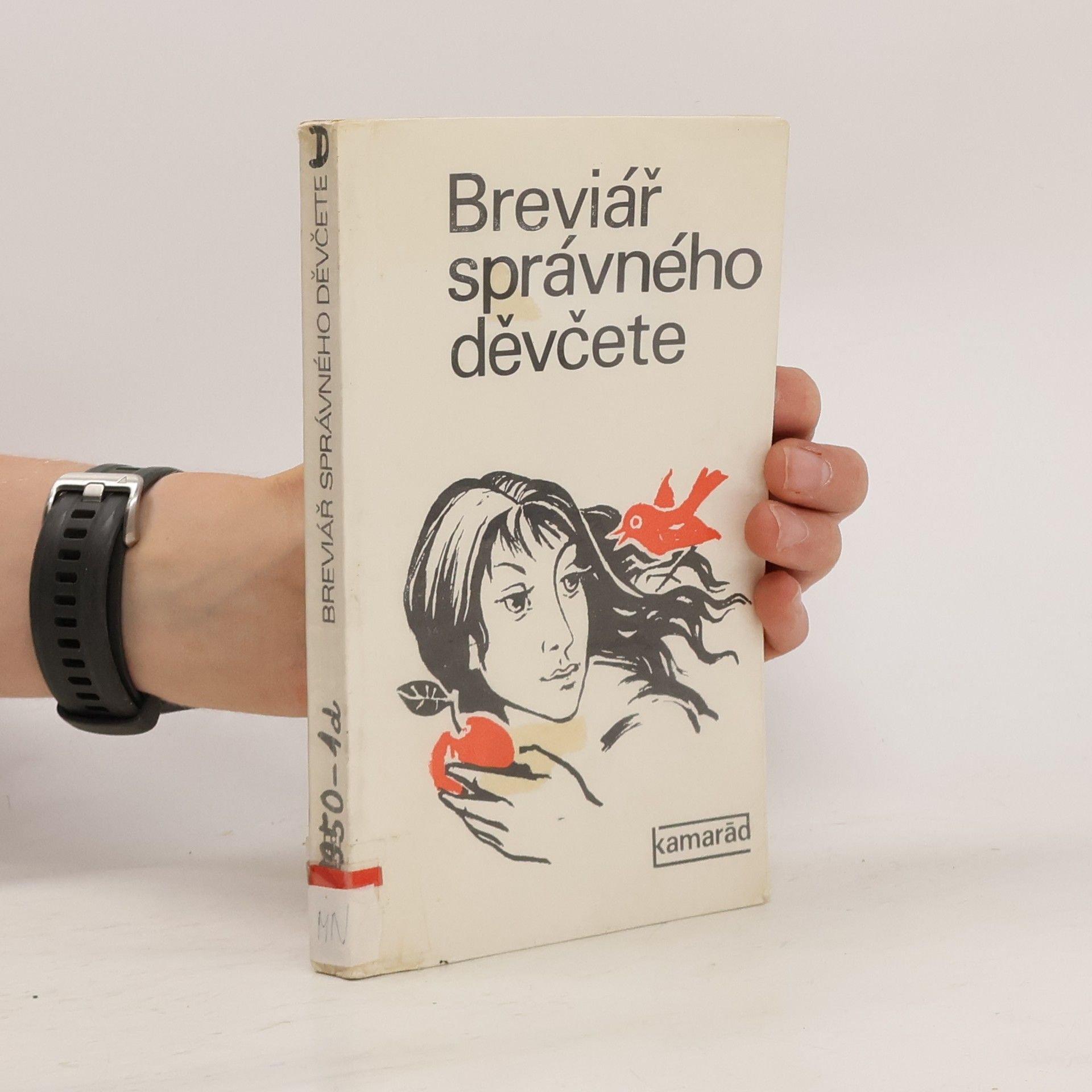Dita Hajná Breviář správného děvčete