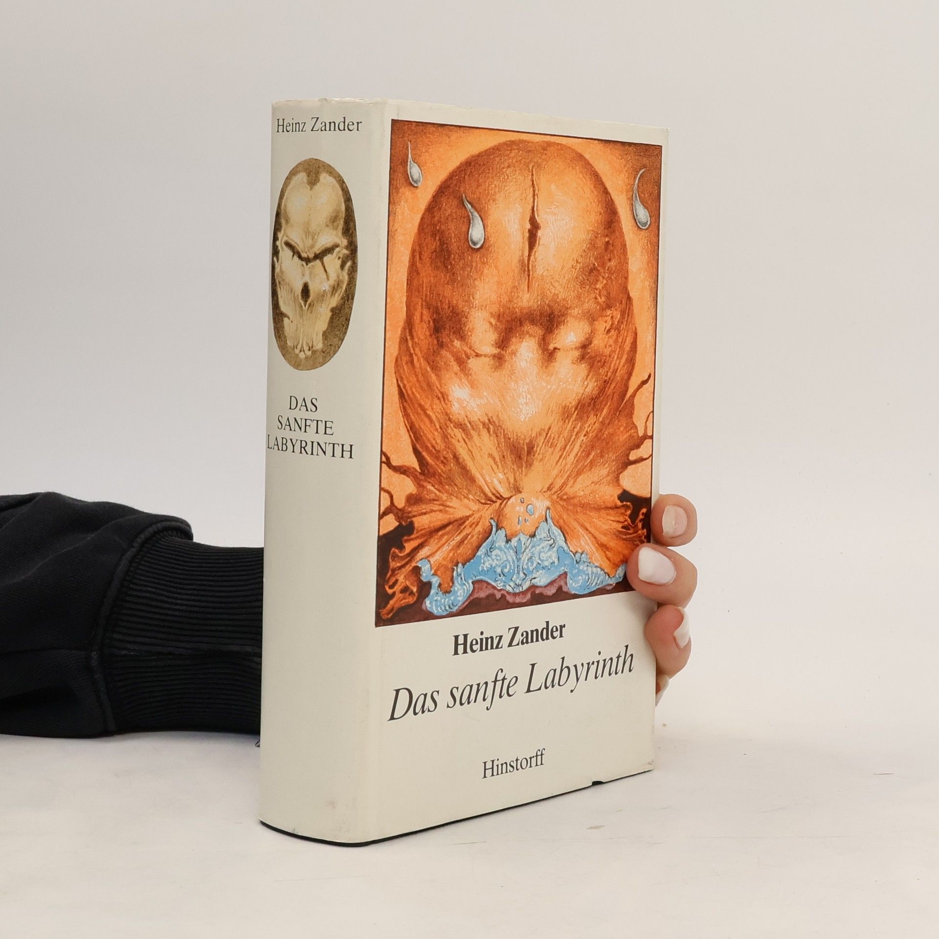 Heinz Zander Das sanfte Labyrinth