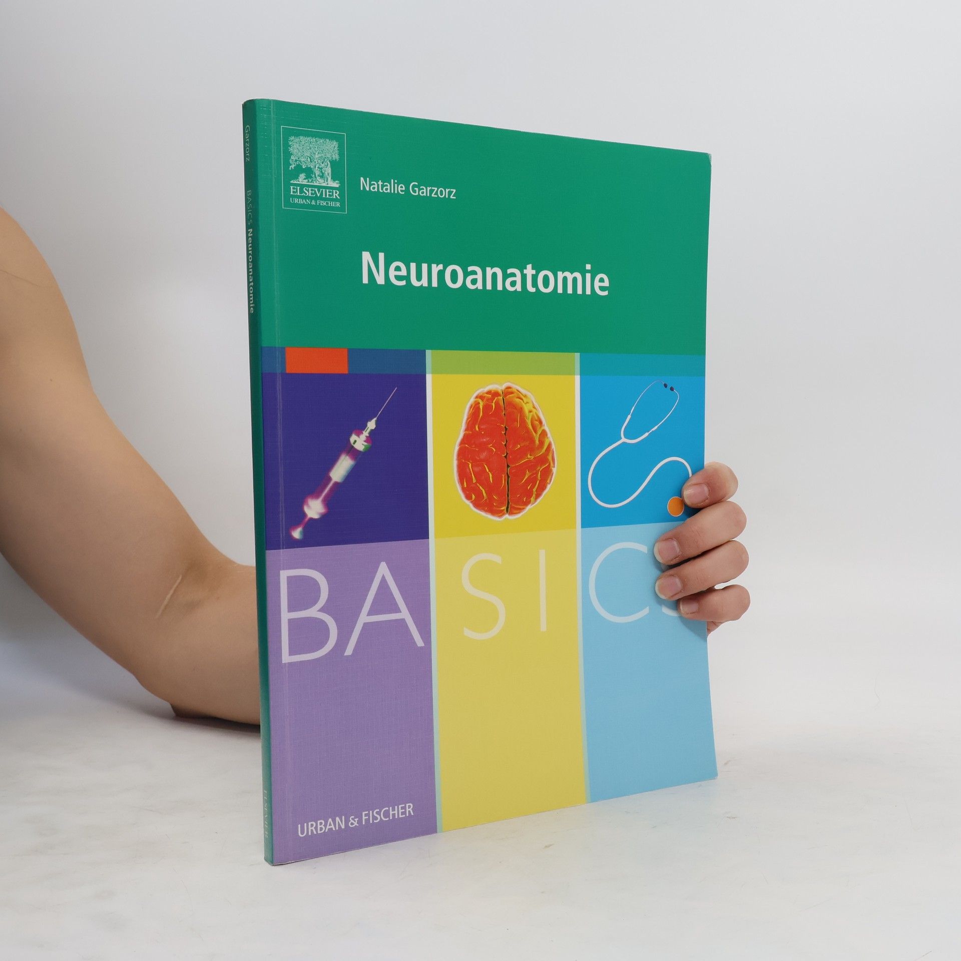 Natalie Garzorz Stark Basics Neuroanatomie