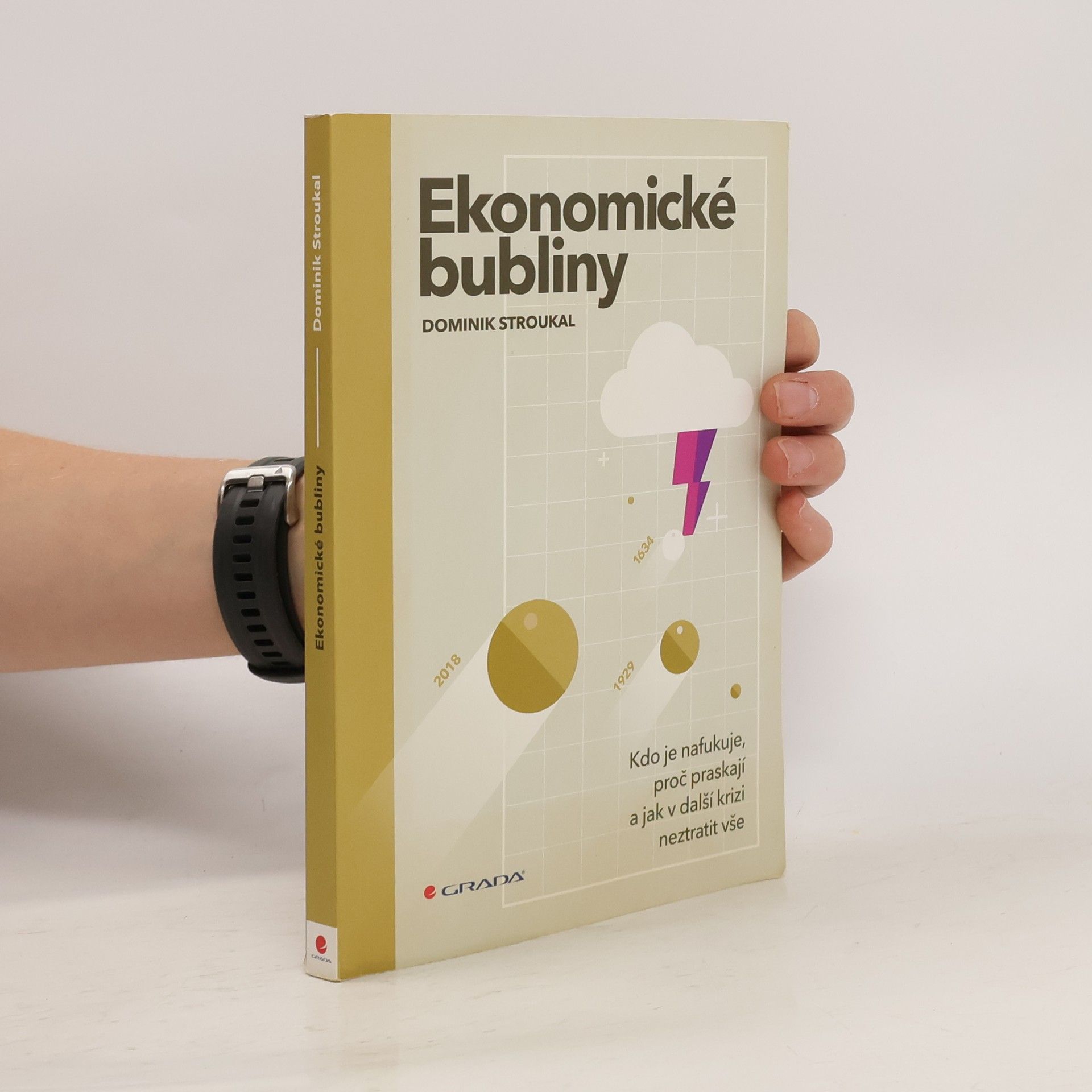 Dominik Stroukal Ekonomické bubliny