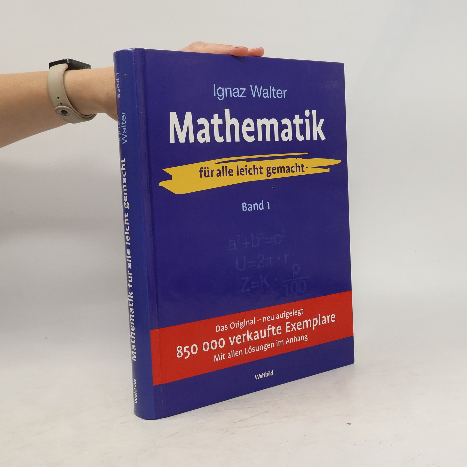 Ignaz Walter Mathematik Band 1 - für alle leicht gemacht