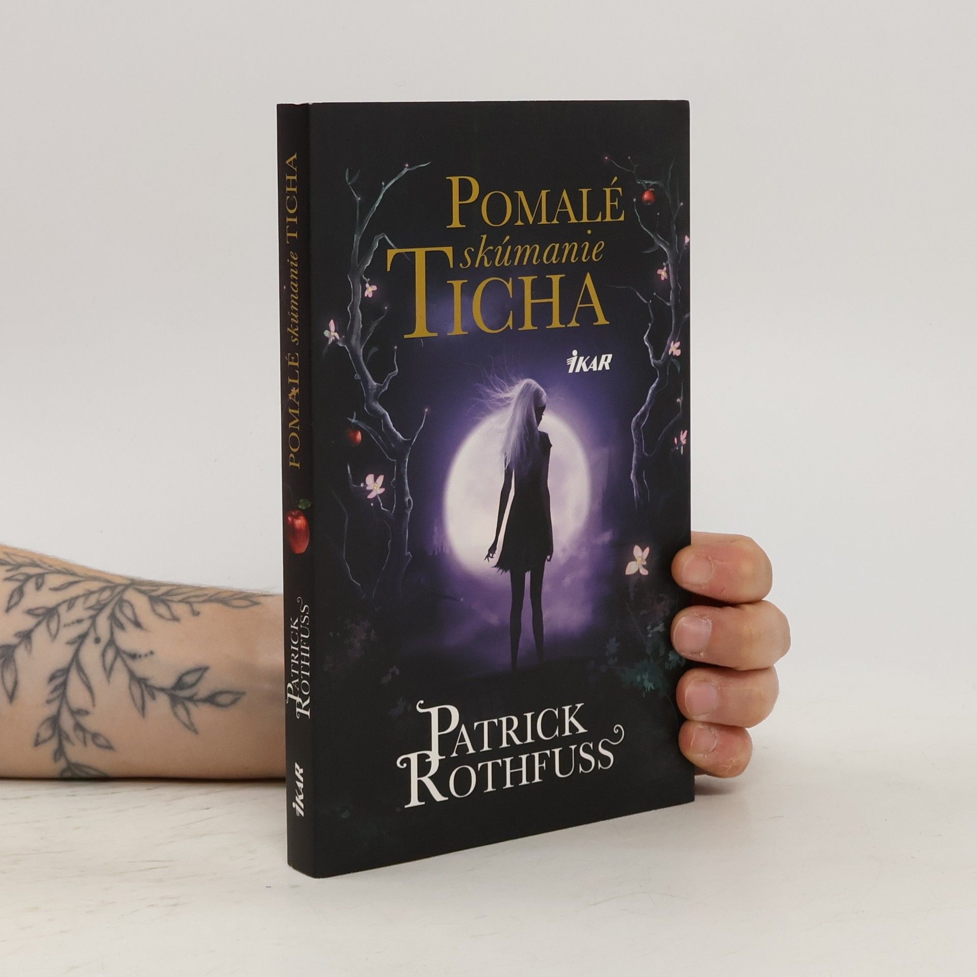 Patrick Rothfuss Pomalé skúmanie ticha