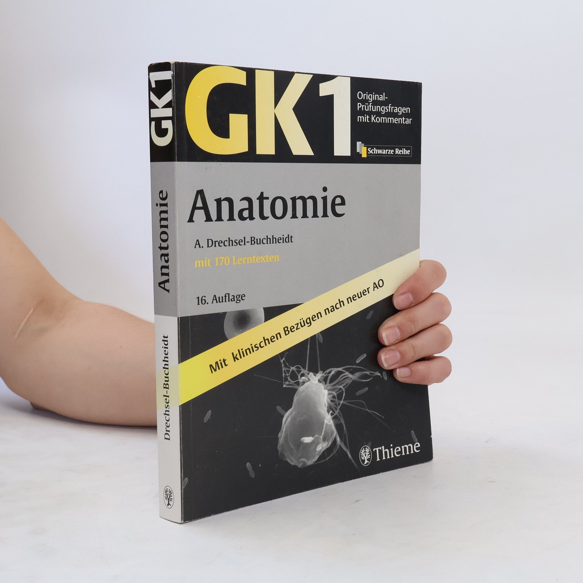 Andrea Drechsel-Buchheidt Anatomie
