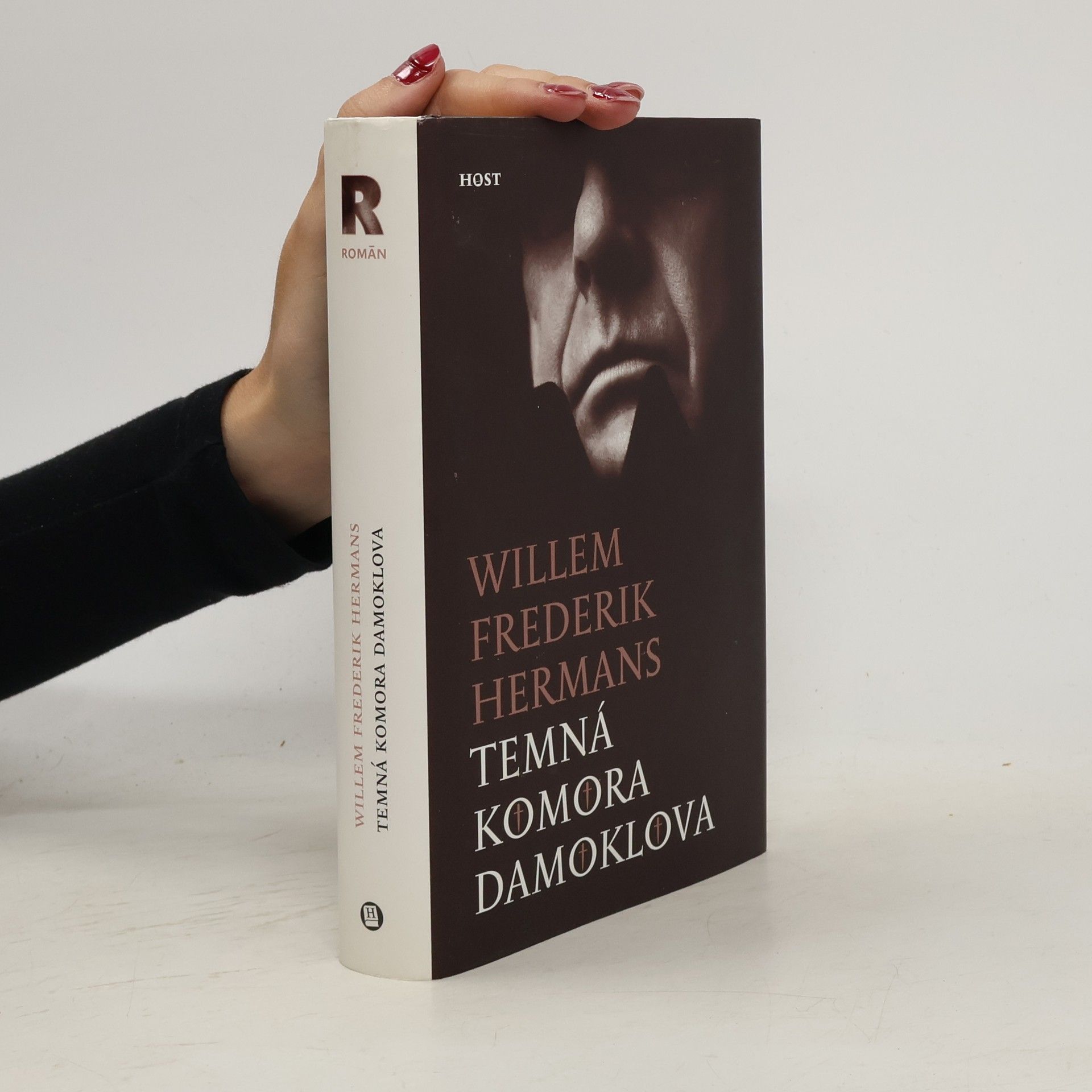 Willem Frederik Hermans Temná komora Damoklova