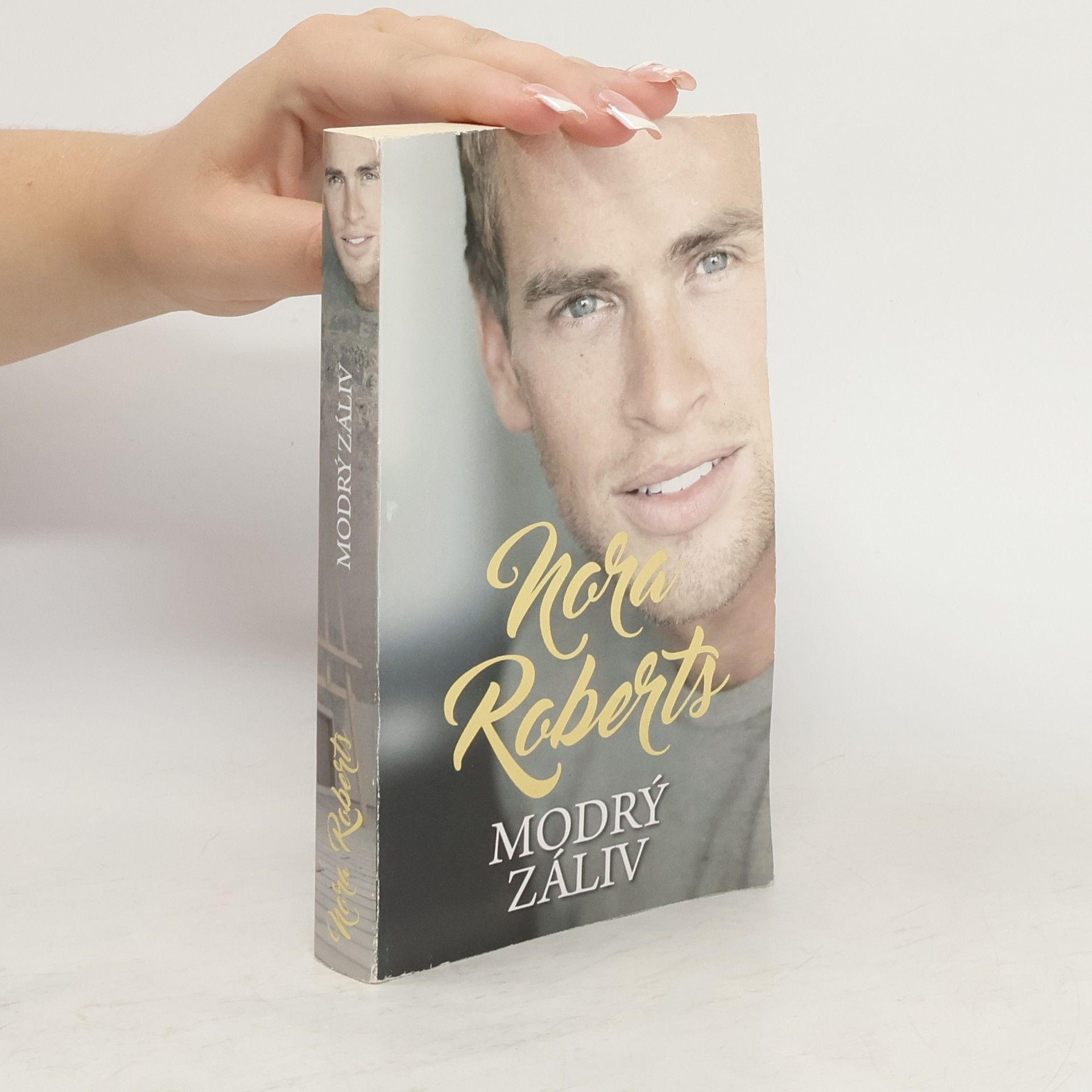 Nora Roberts Modrý záliv