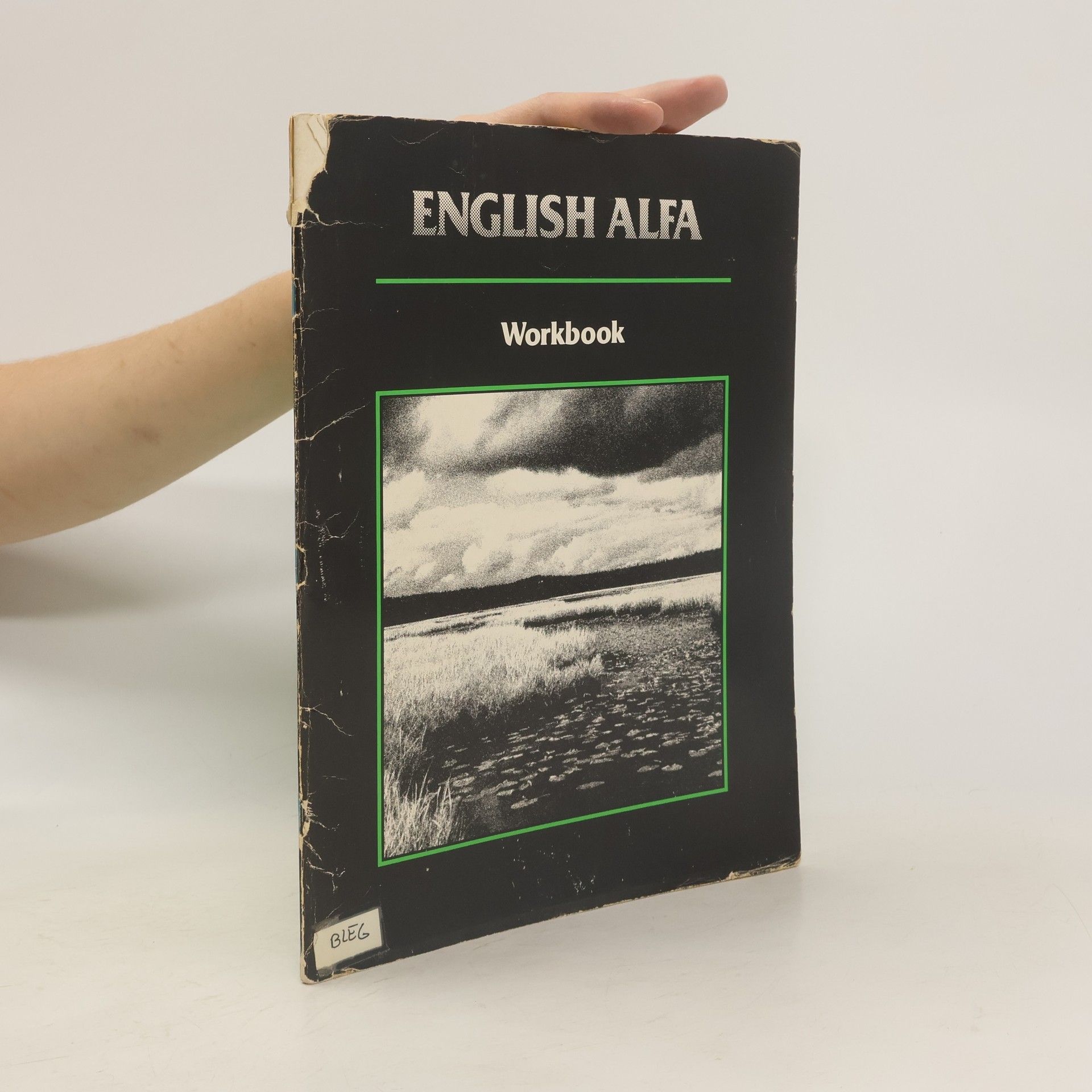 kolektiv English Alfa. Workbook