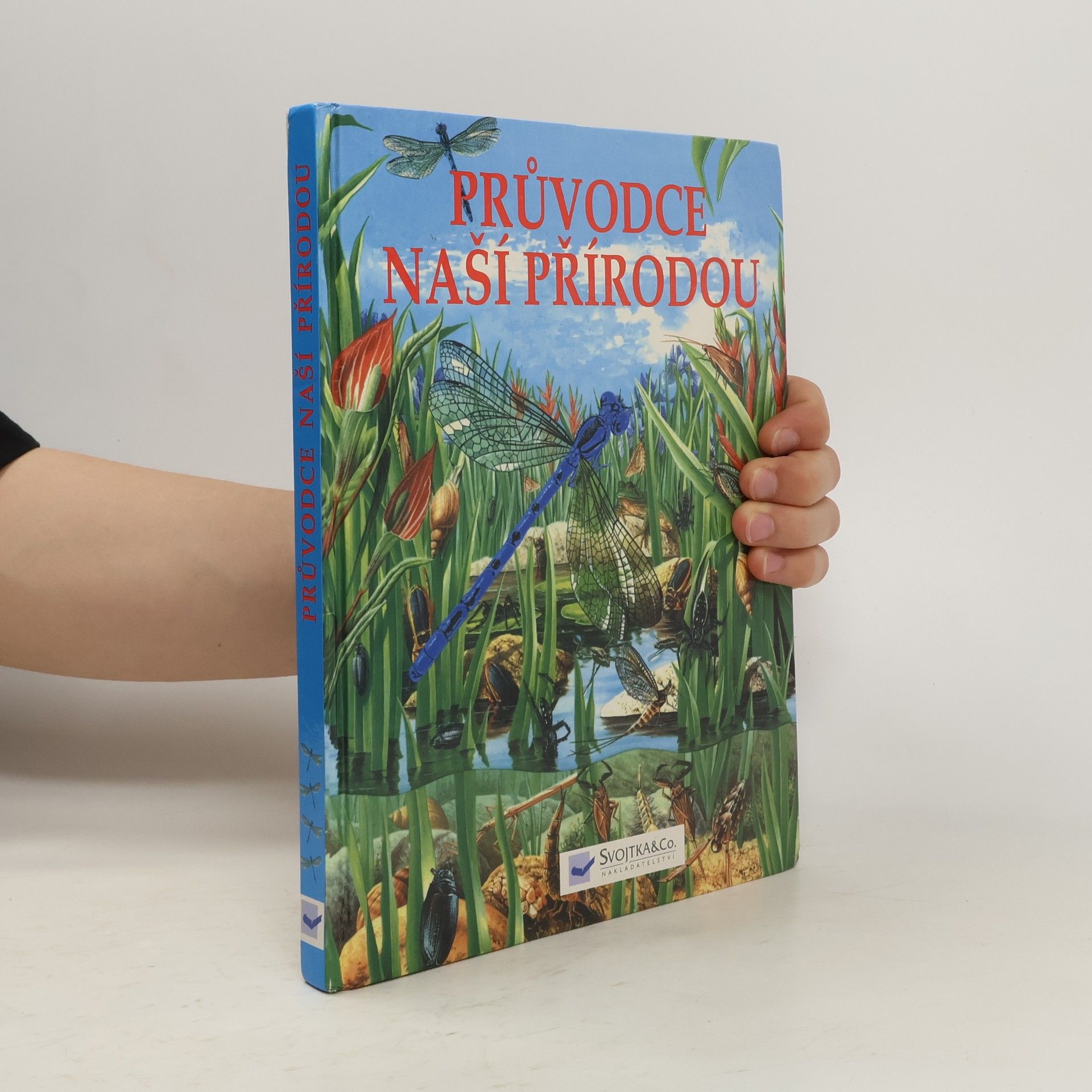 Autorenkollektiv Průvodce naší přírodou