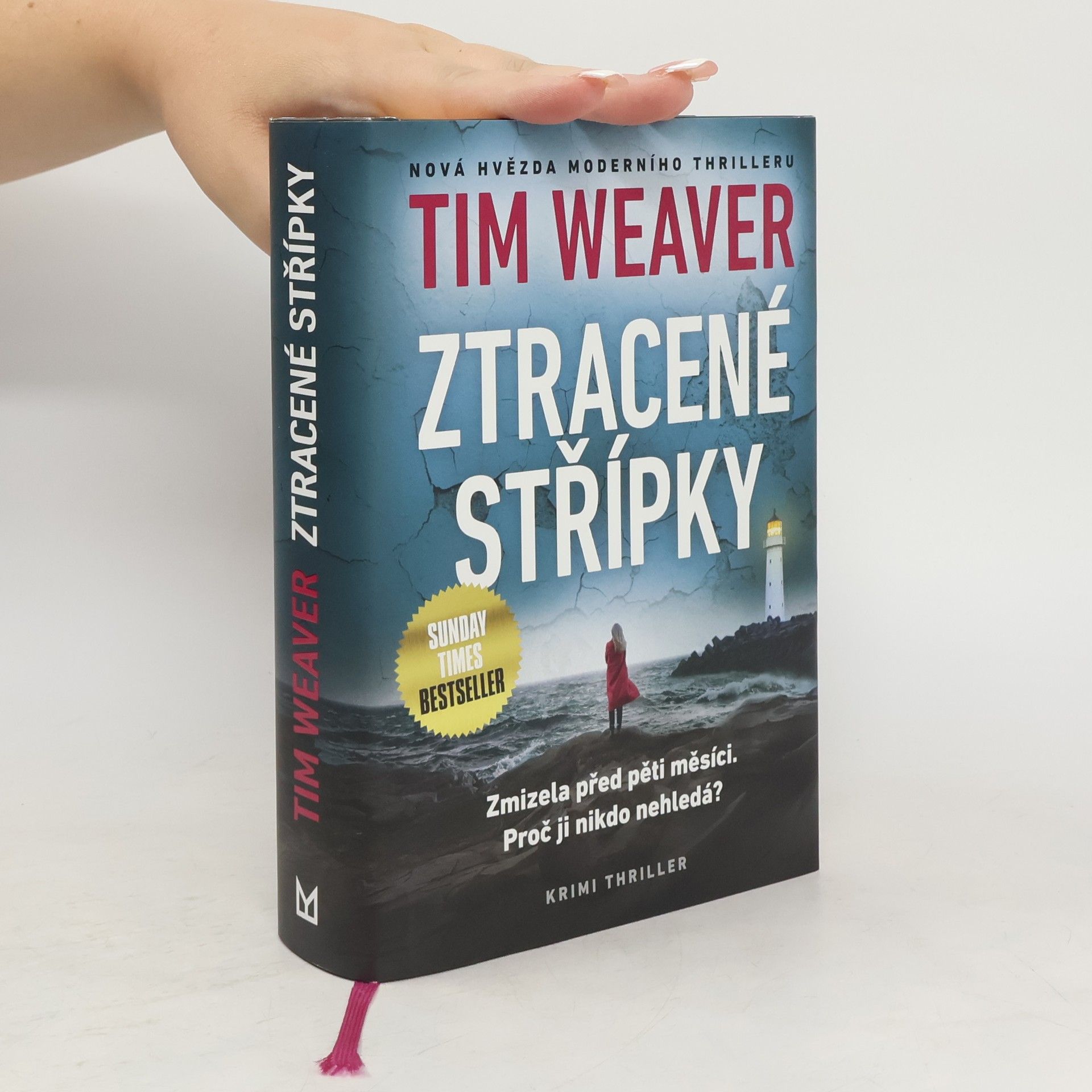 Tim Weaver Ztracené střípky