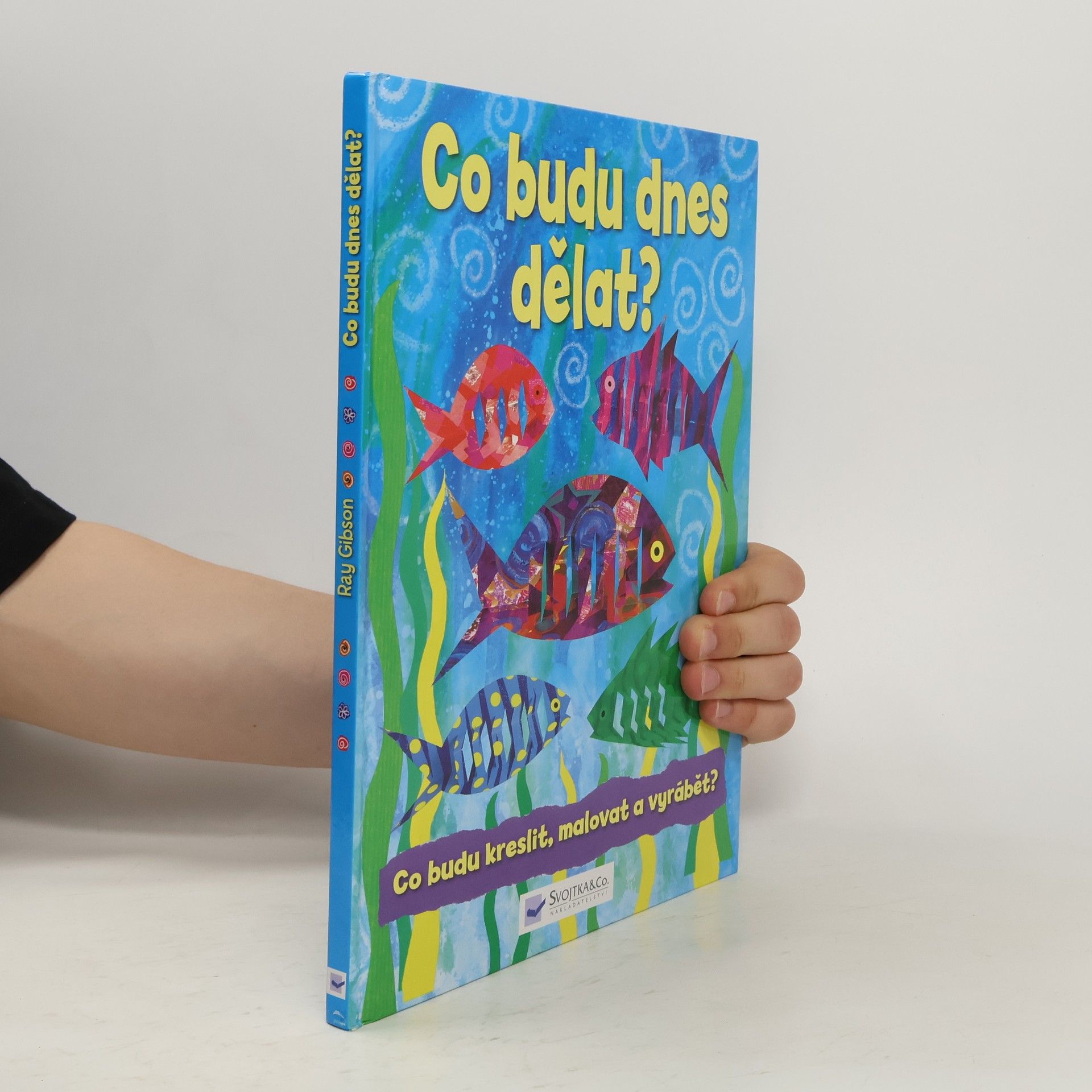 Ray Gibson Co budu dnes dělat?