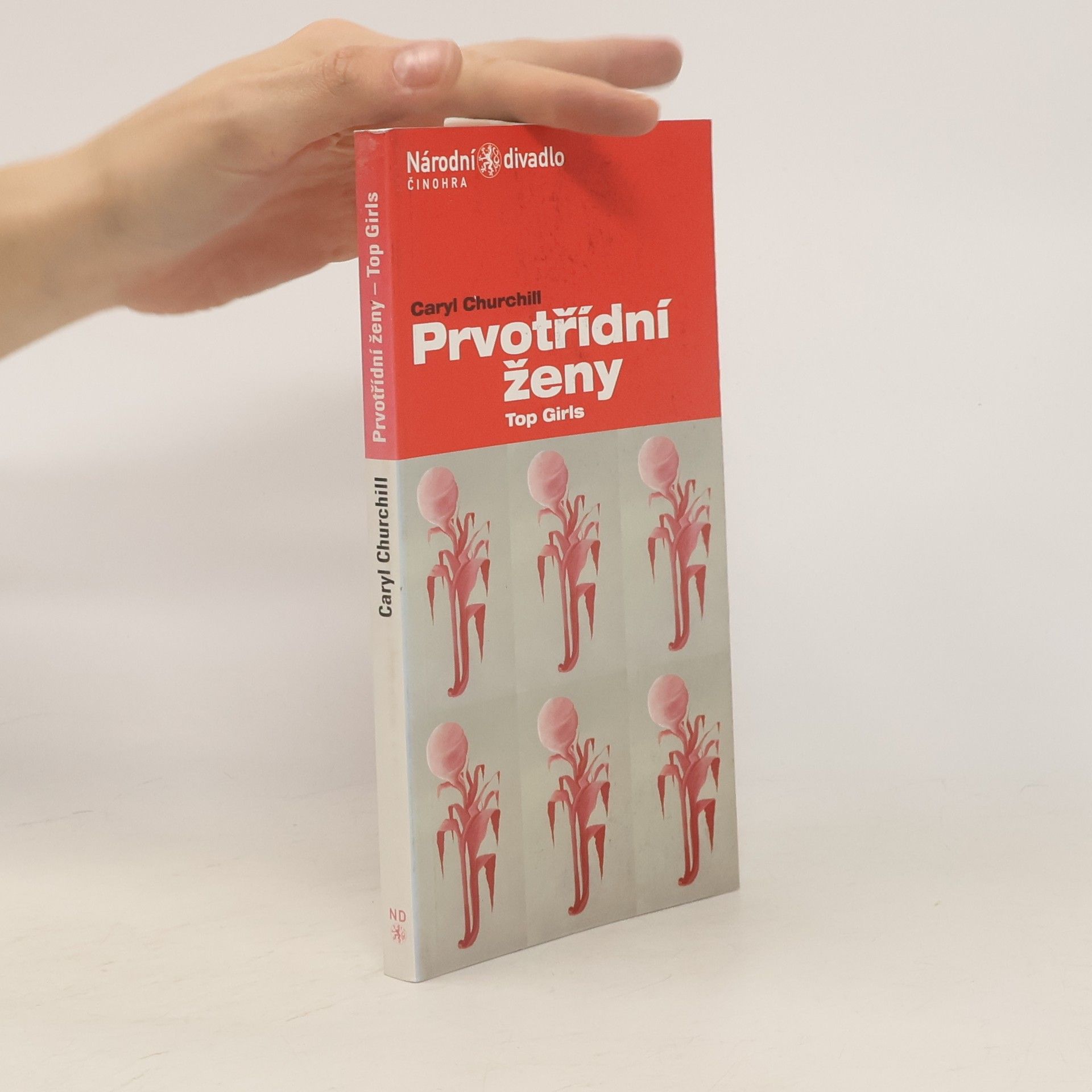 Caryl Churchill Prvotřídní ženy