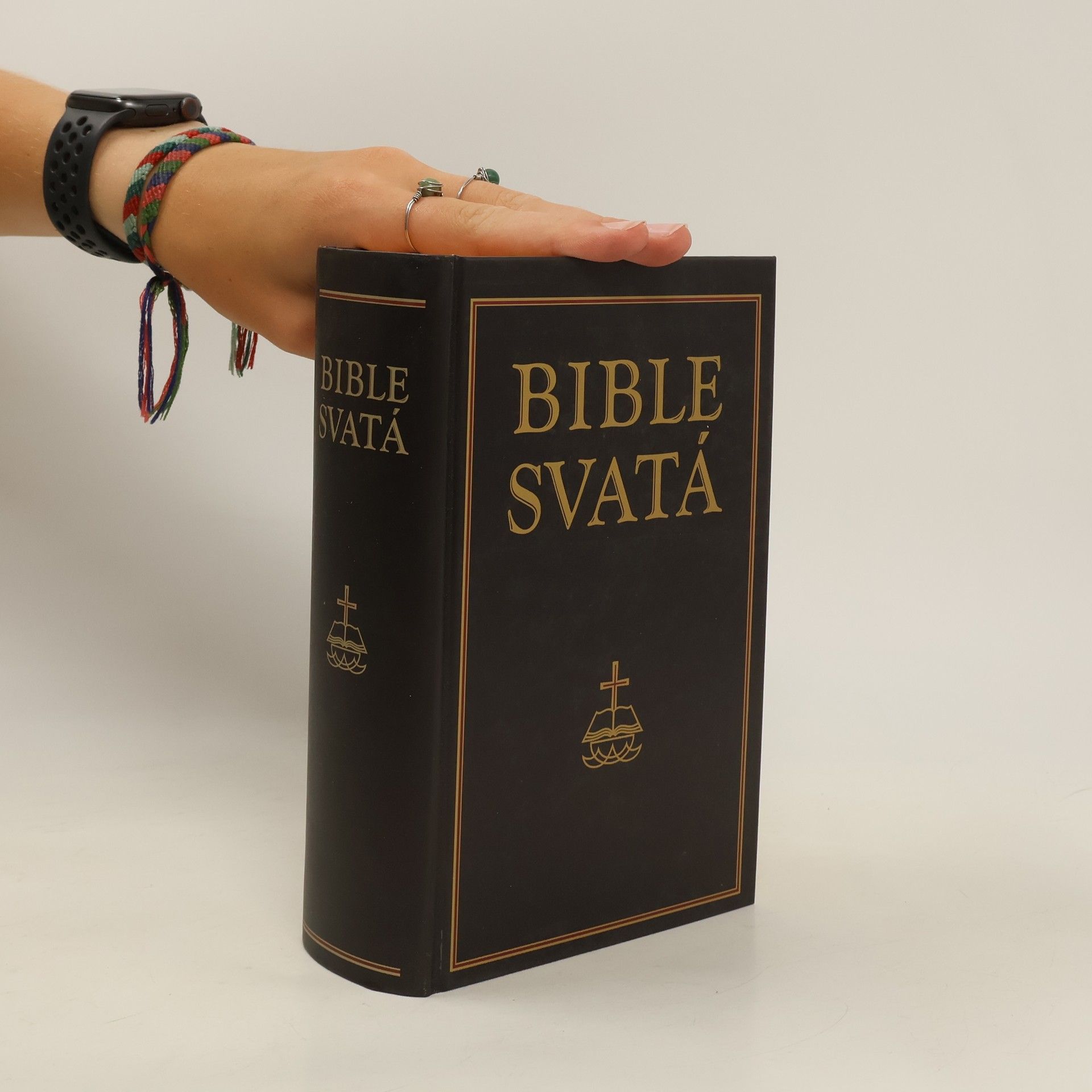 kolektiv Bible svatá aneb všecka svatá písma Starého i Nového zákona