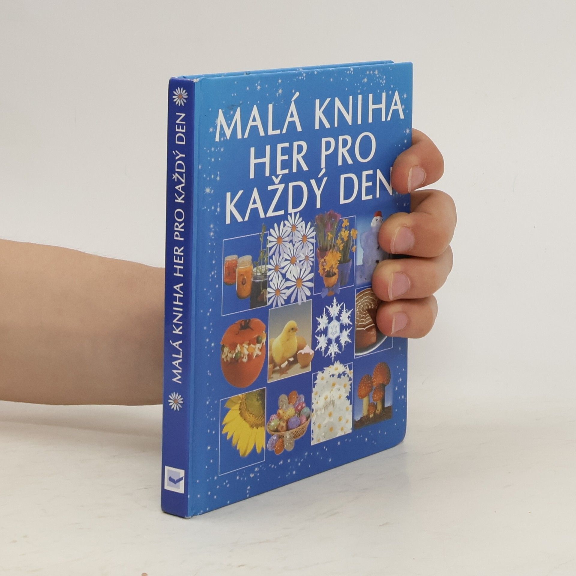 Angela Wilkes Malá kniha her pro každý den