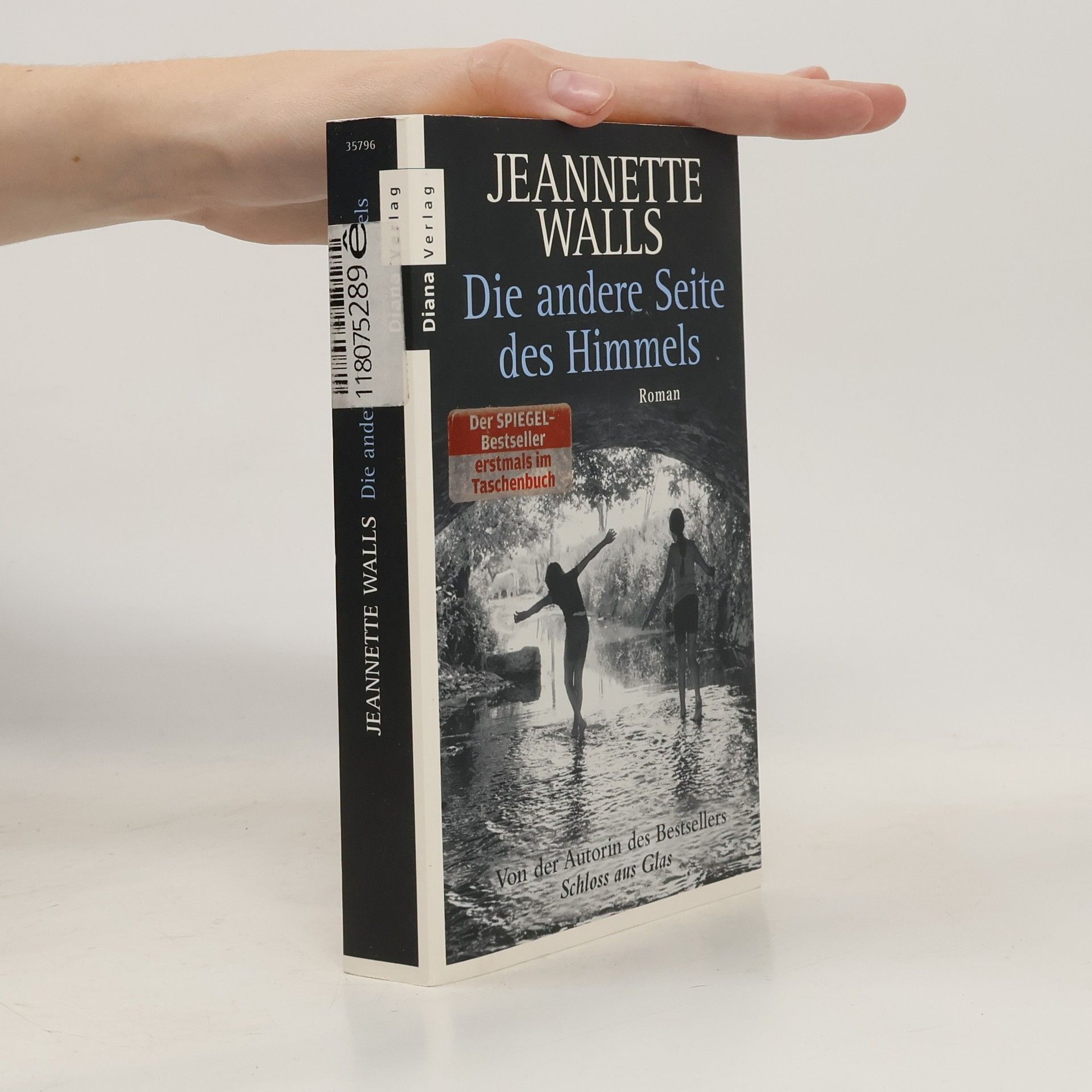 Jeannette Walls Die andere Seite des Himmels