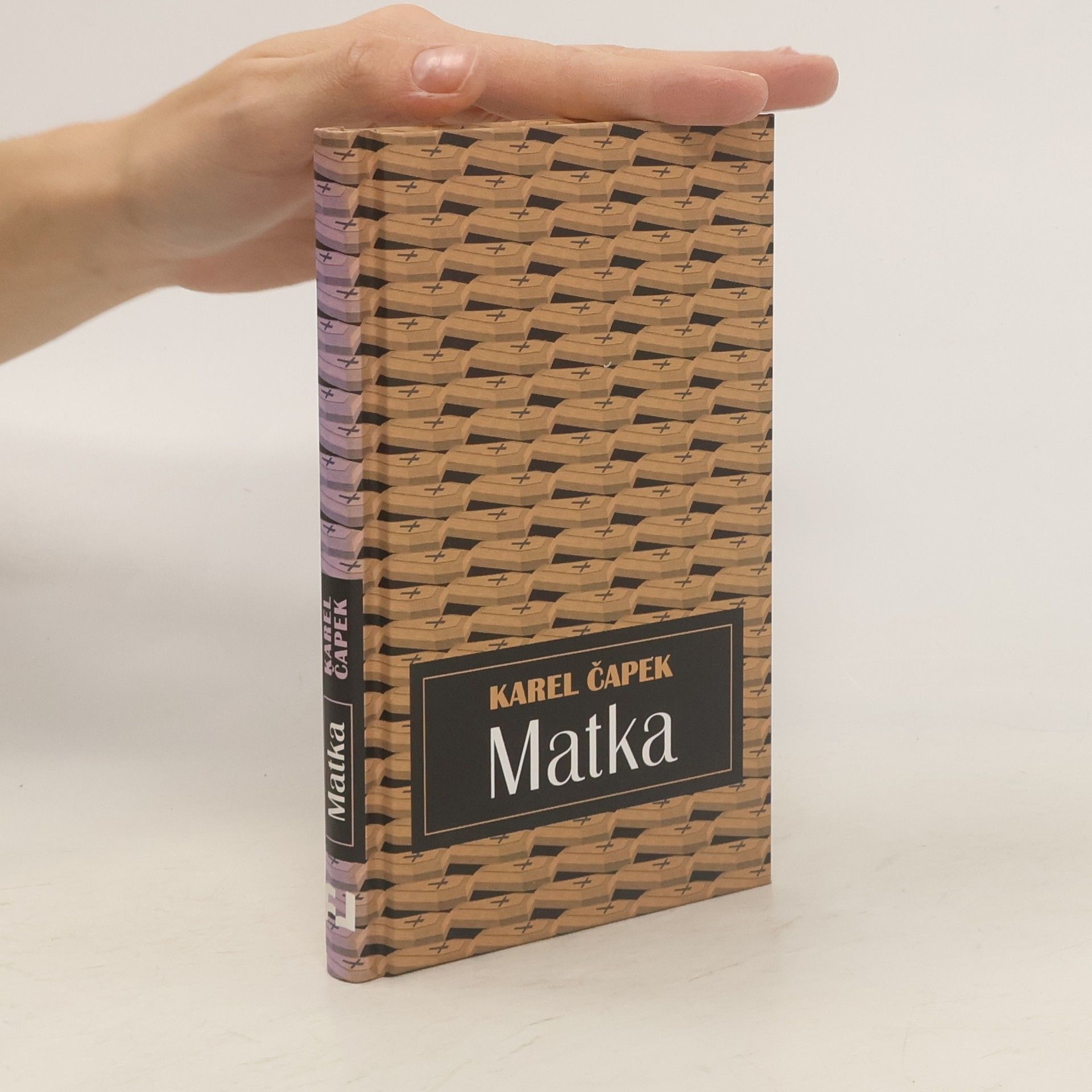 Karel Čapek Matka