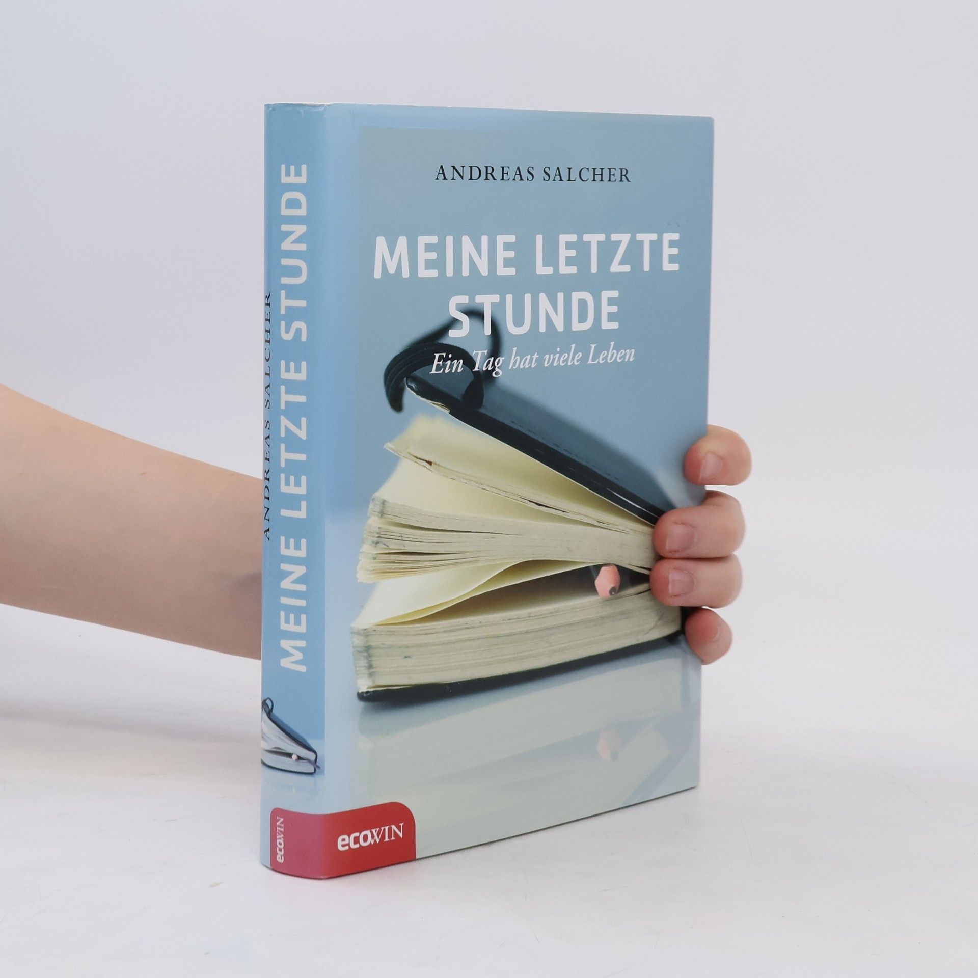 Andreas Salcher Meine letzte Stunde