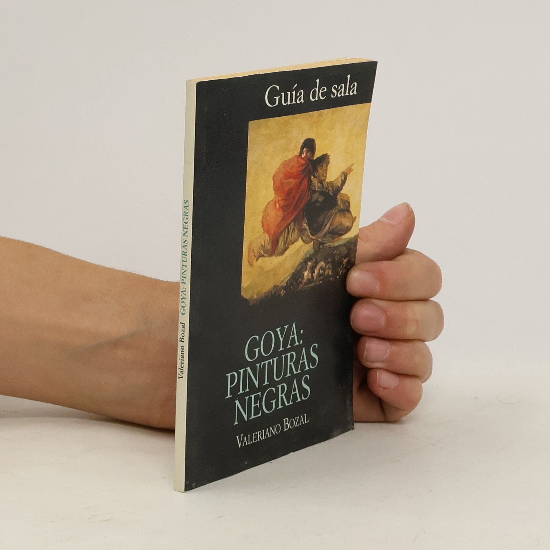 Valeriano Bozal Goya