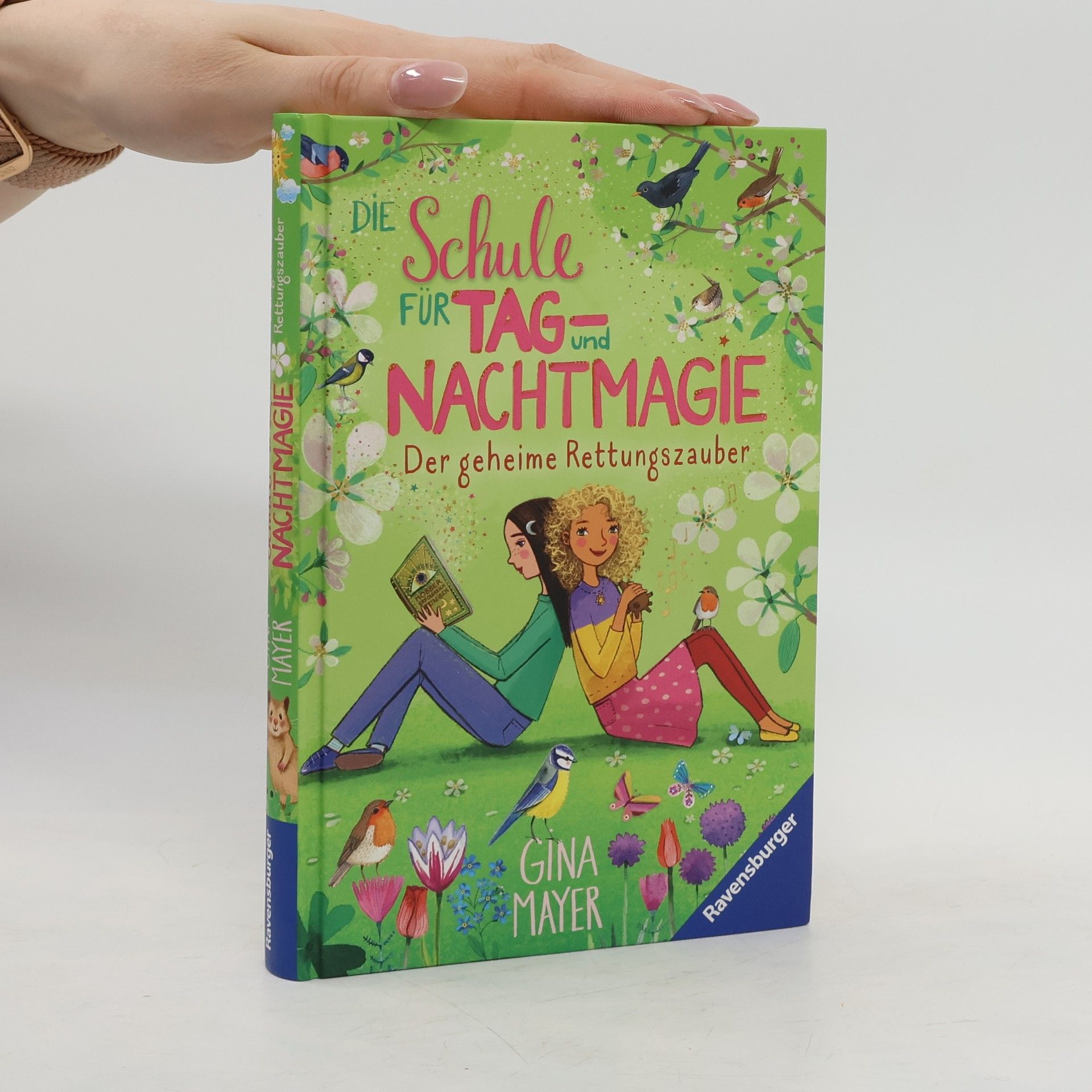 Gina Mayer Die Schule für Tag- und Nachtmagie, Band 4: Der geheime Rettungszauber