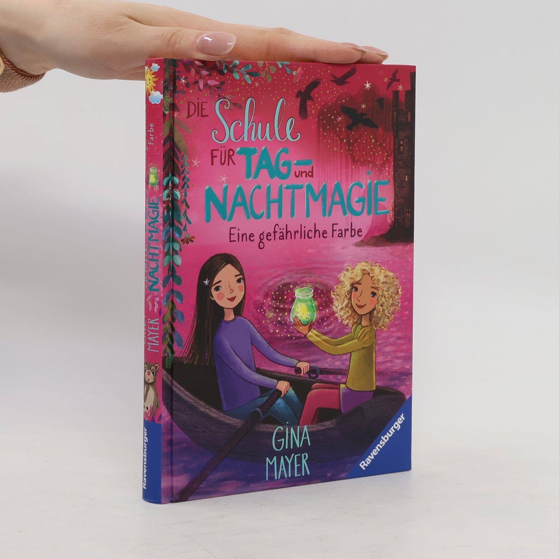 Gina Mayer Die Schule für Tag- und Nachtmagie, Band 6: Eine gefährliche Farbe