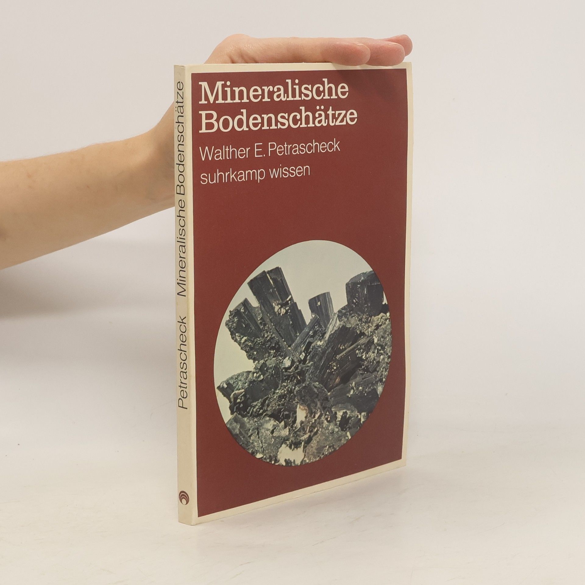Walther Emil Petrascheck Mineralische Bodenschätze