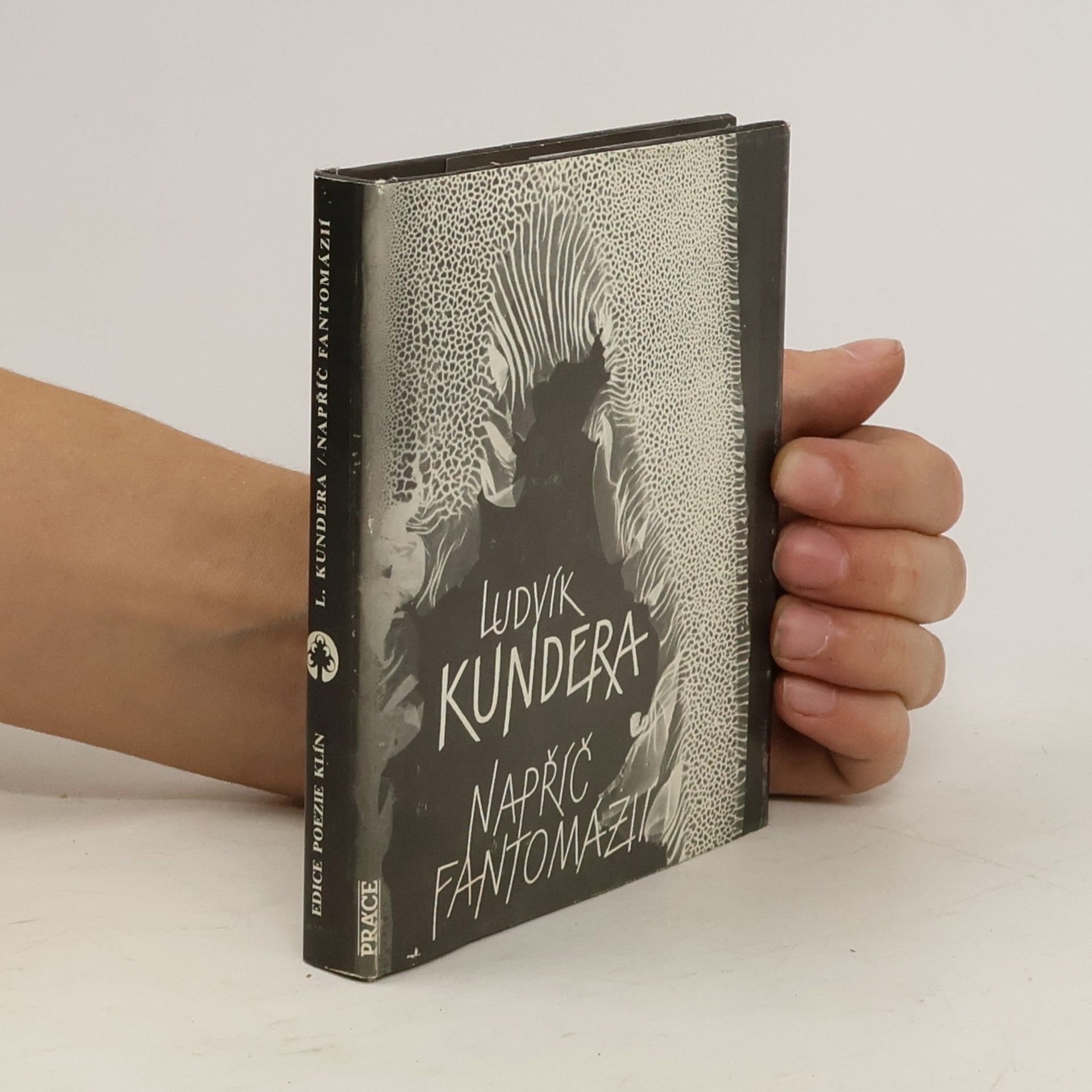 Ludvík Kundera Napříč Fantomázií : čtrnáct cyklů z let 1971-1980