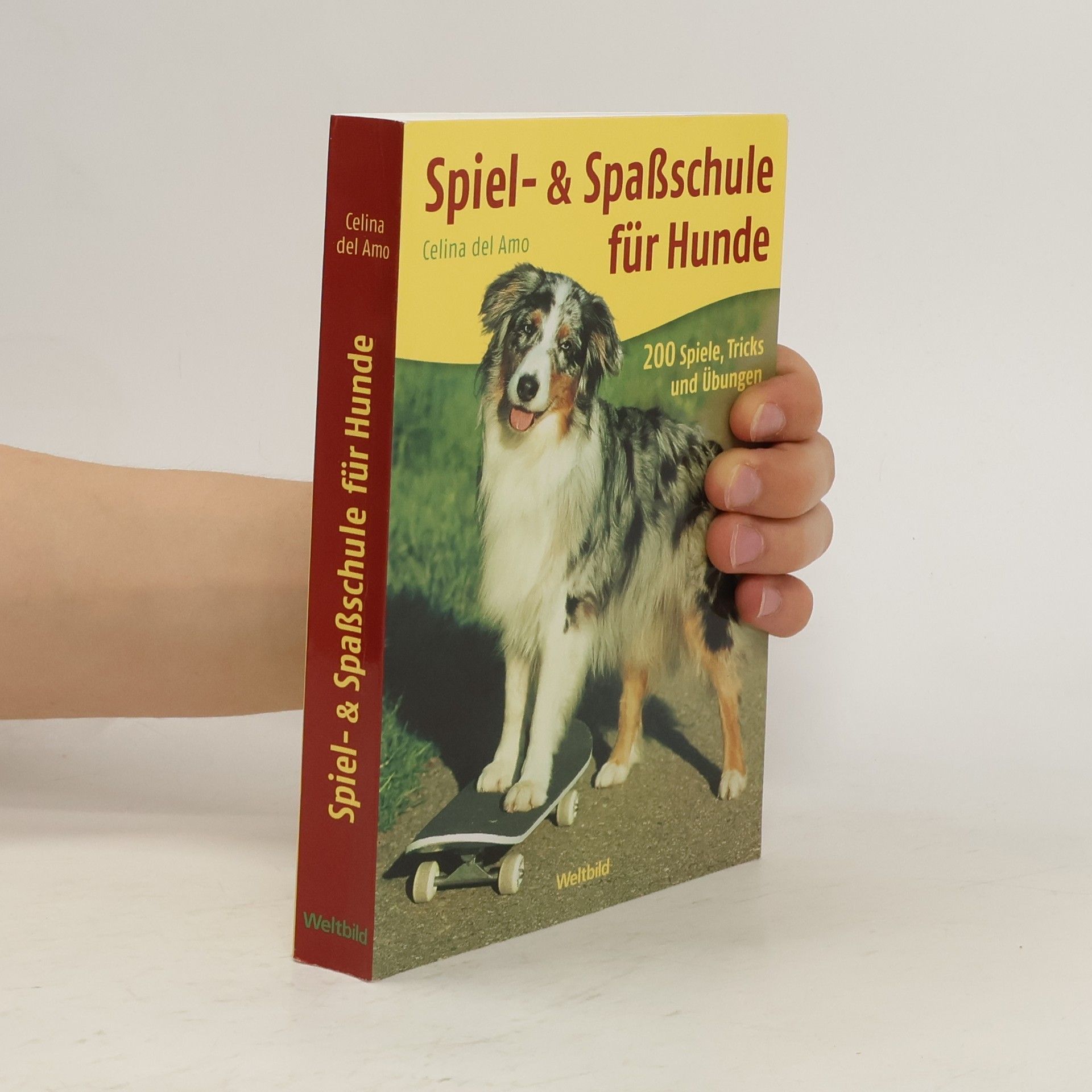 Celina del Amo Spiel- & Spaßschule für Hunde