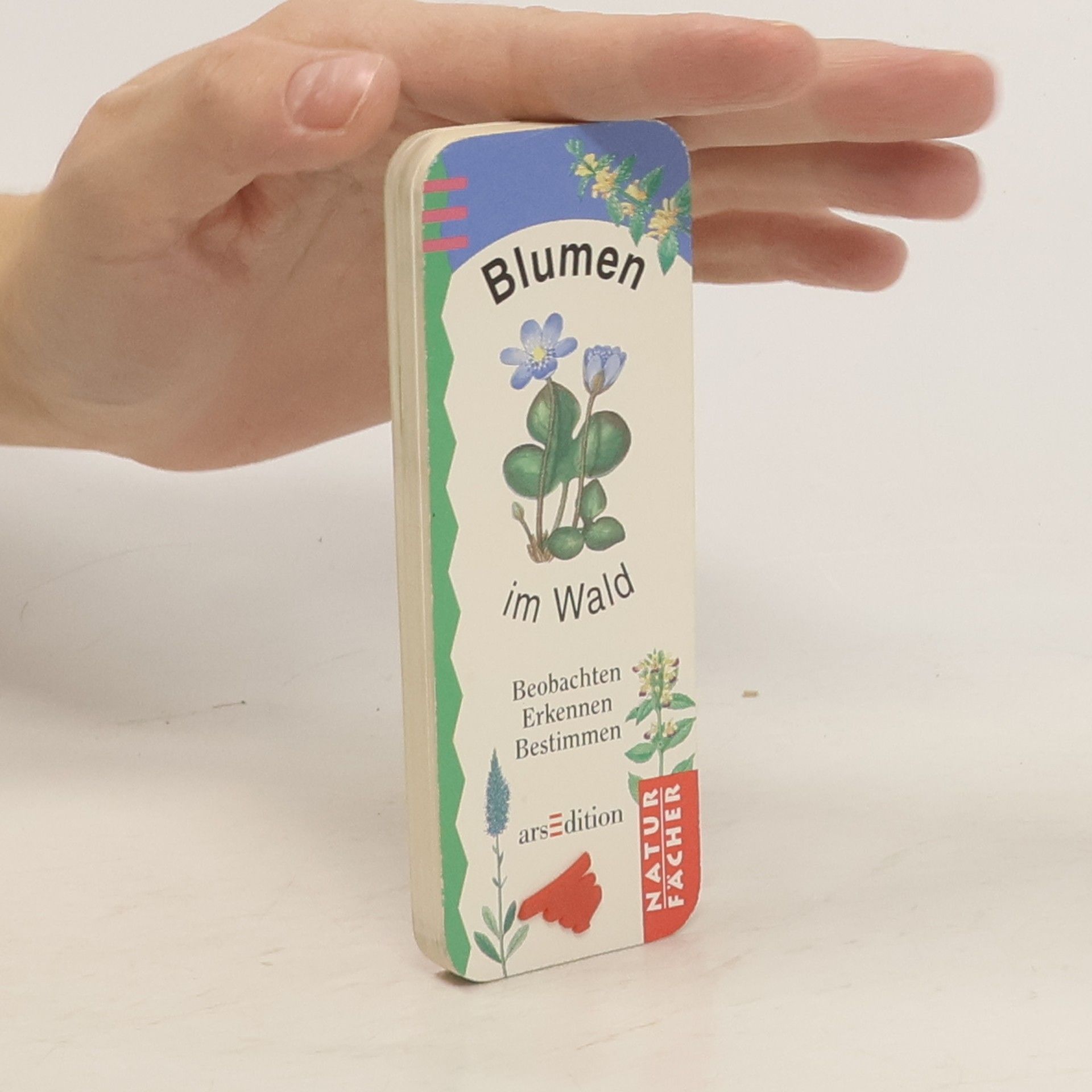 Collectif d'auteurs Blumen im Wald