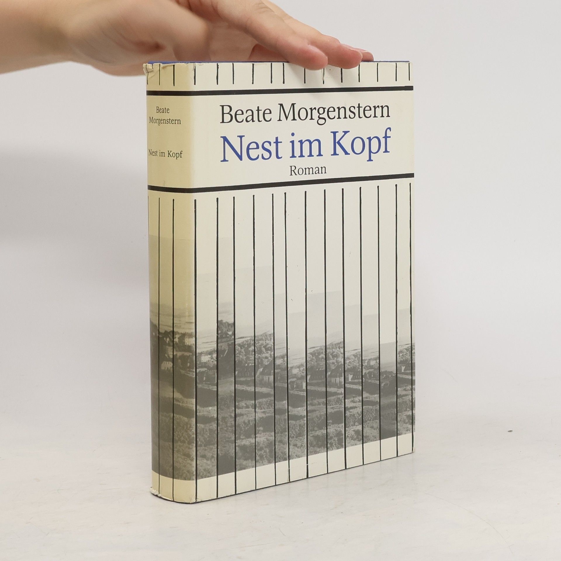 Beate Morgenstern Nest im Kopf