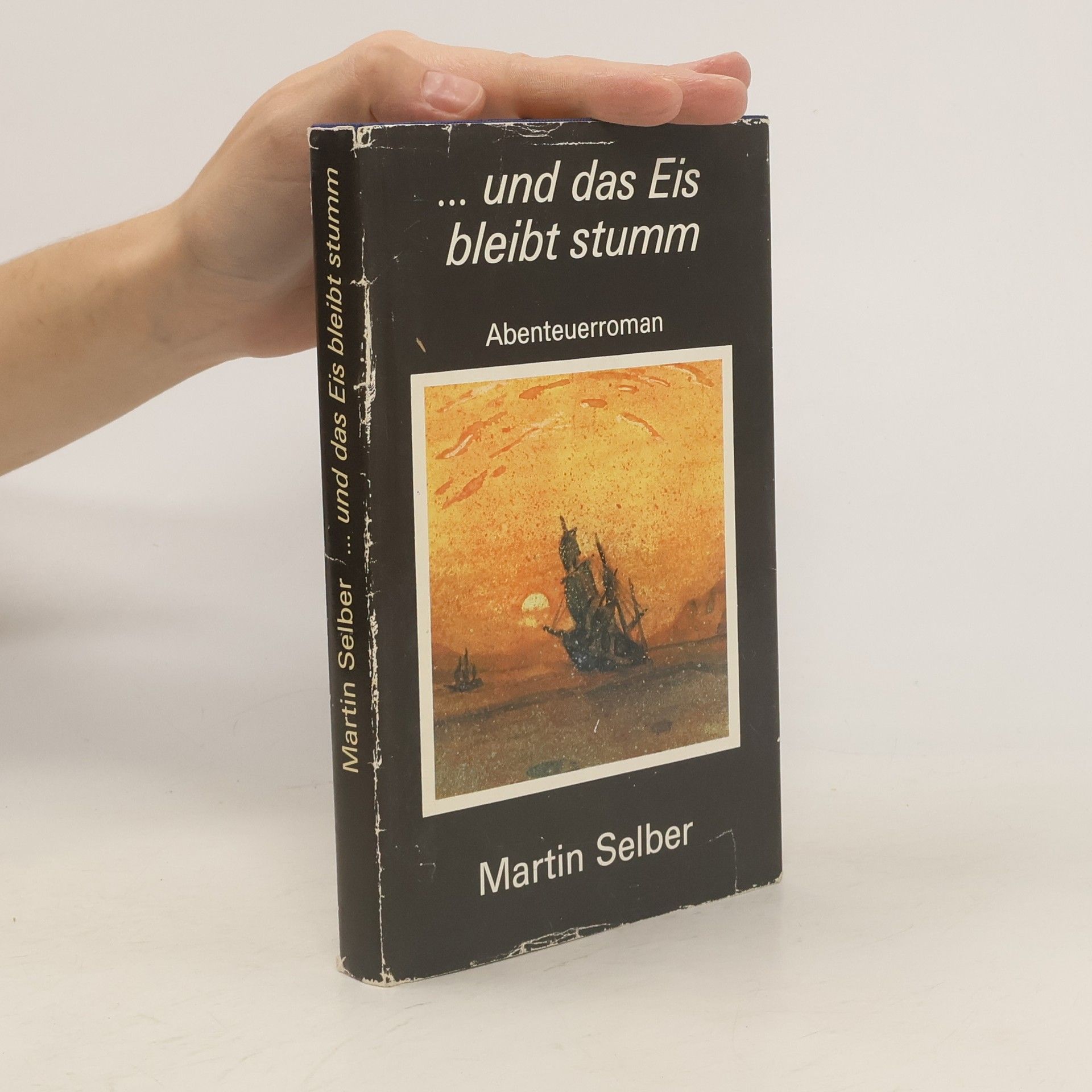 Martin Selber ... und das Eis bleibt stumm