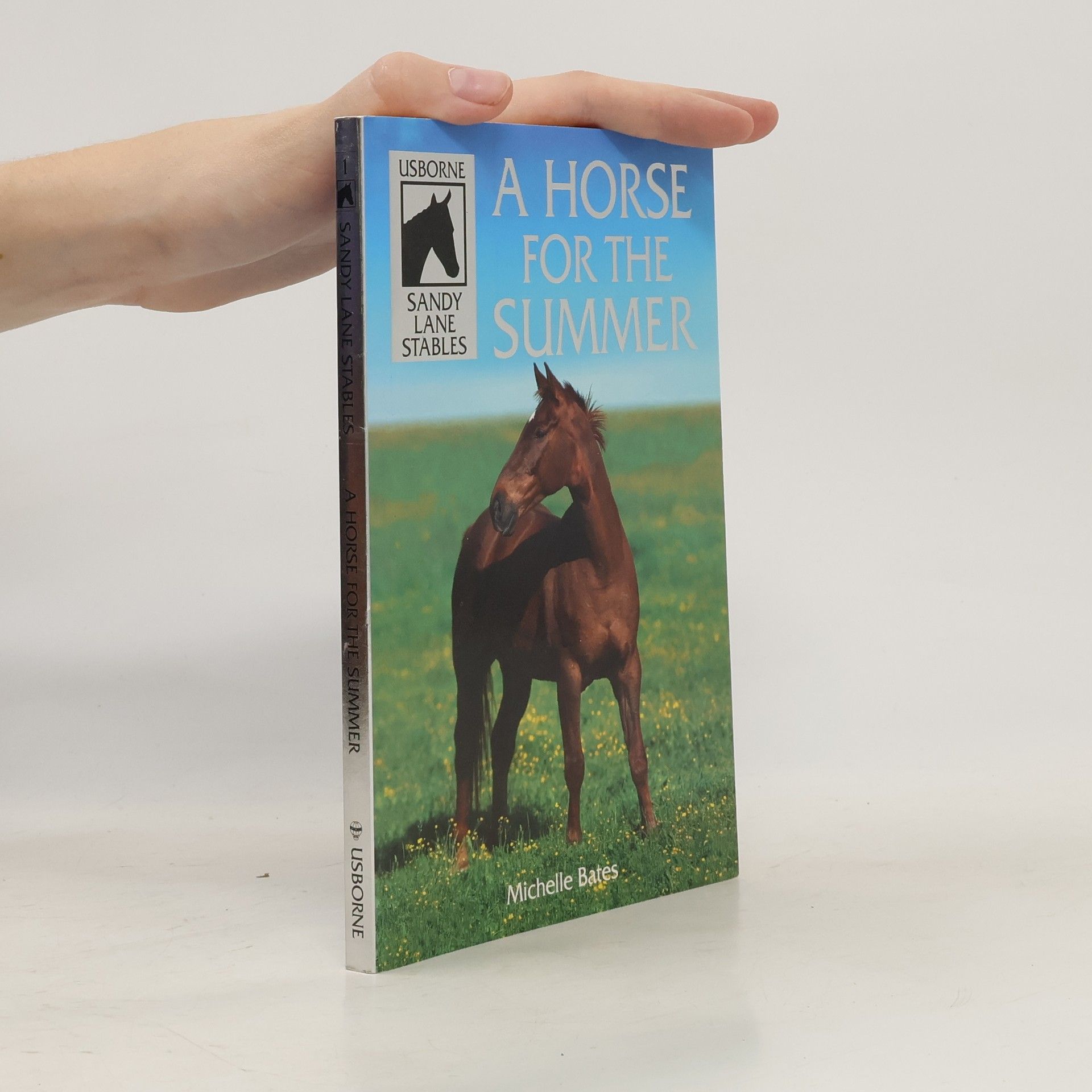 Michelle Bates A Horse for the Summer