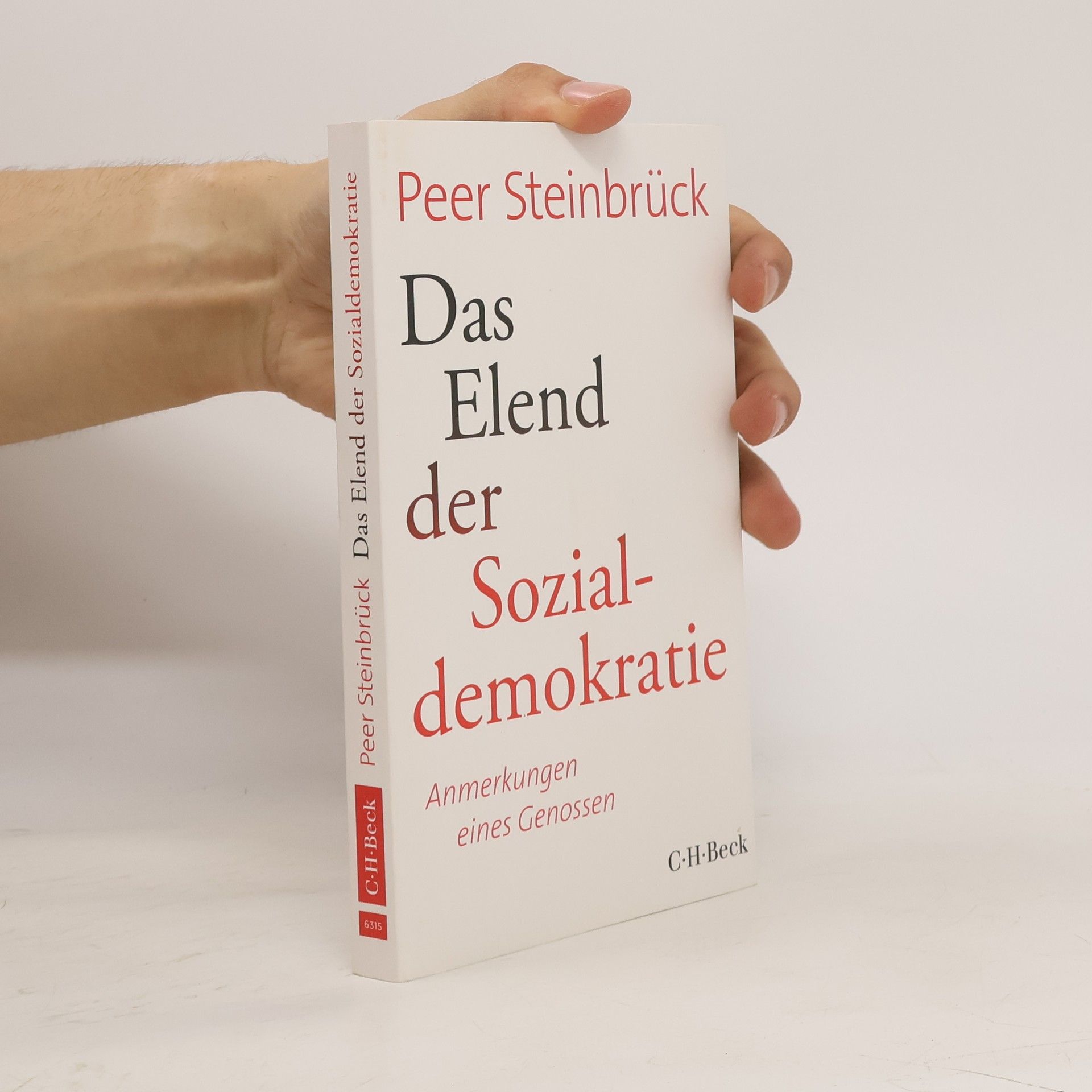 Peer Steinbrück Das Elend der Sozialdemokratie