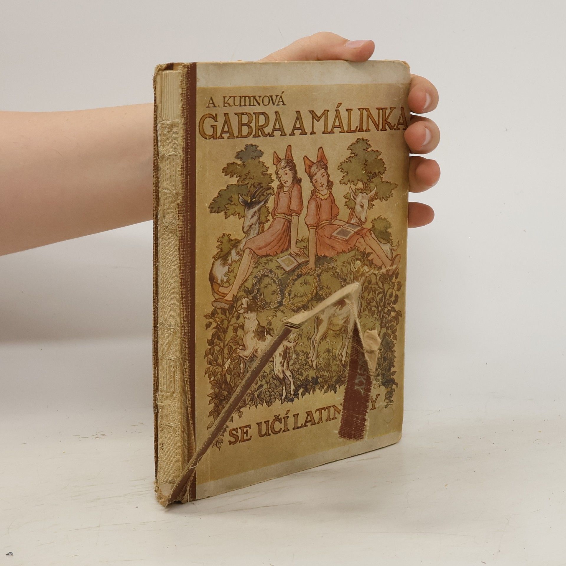 Amálie Kutinová Gabra a málinka se učí latinsky