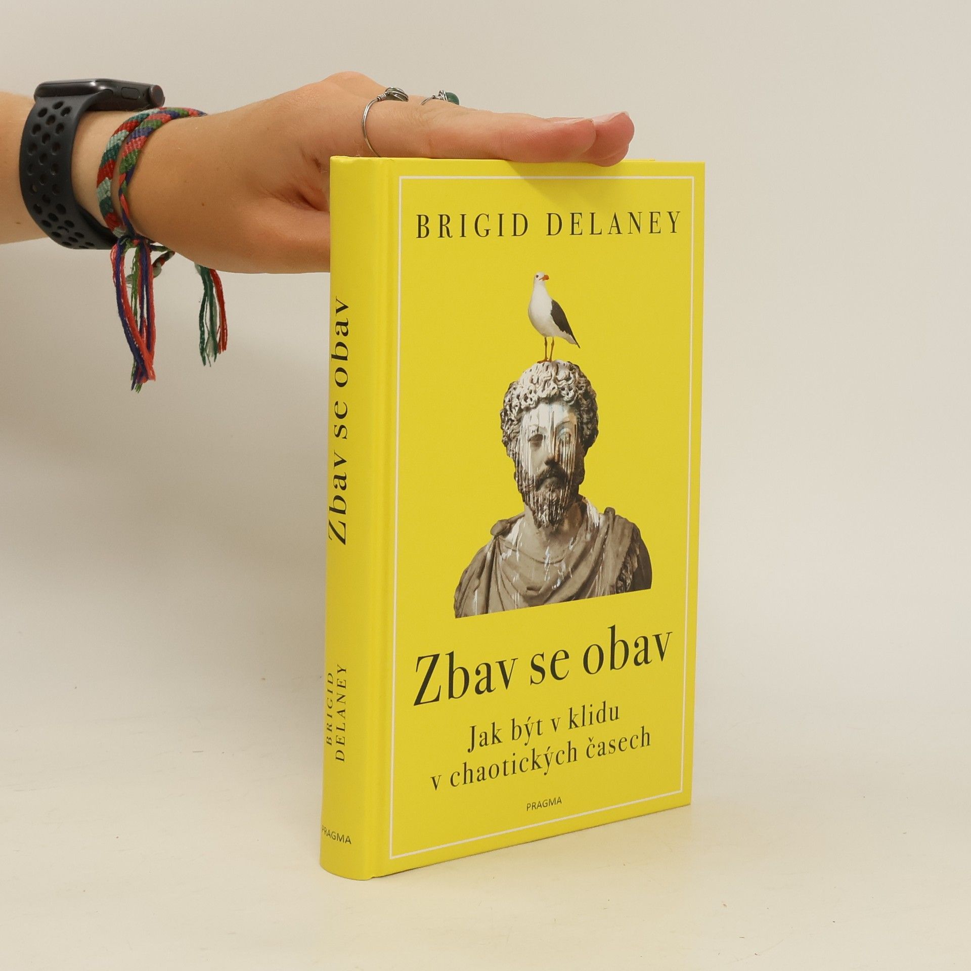 Brigid Delaney Zbav se obav. Jak být v klidu v chaotických časech