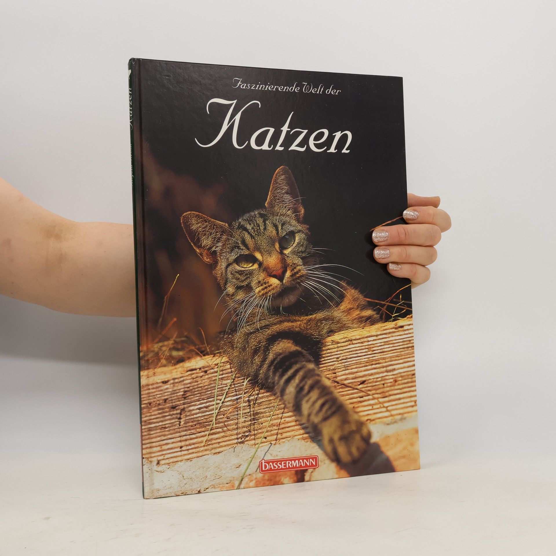 Angela Rixon Faszinierende Welt der Katzen