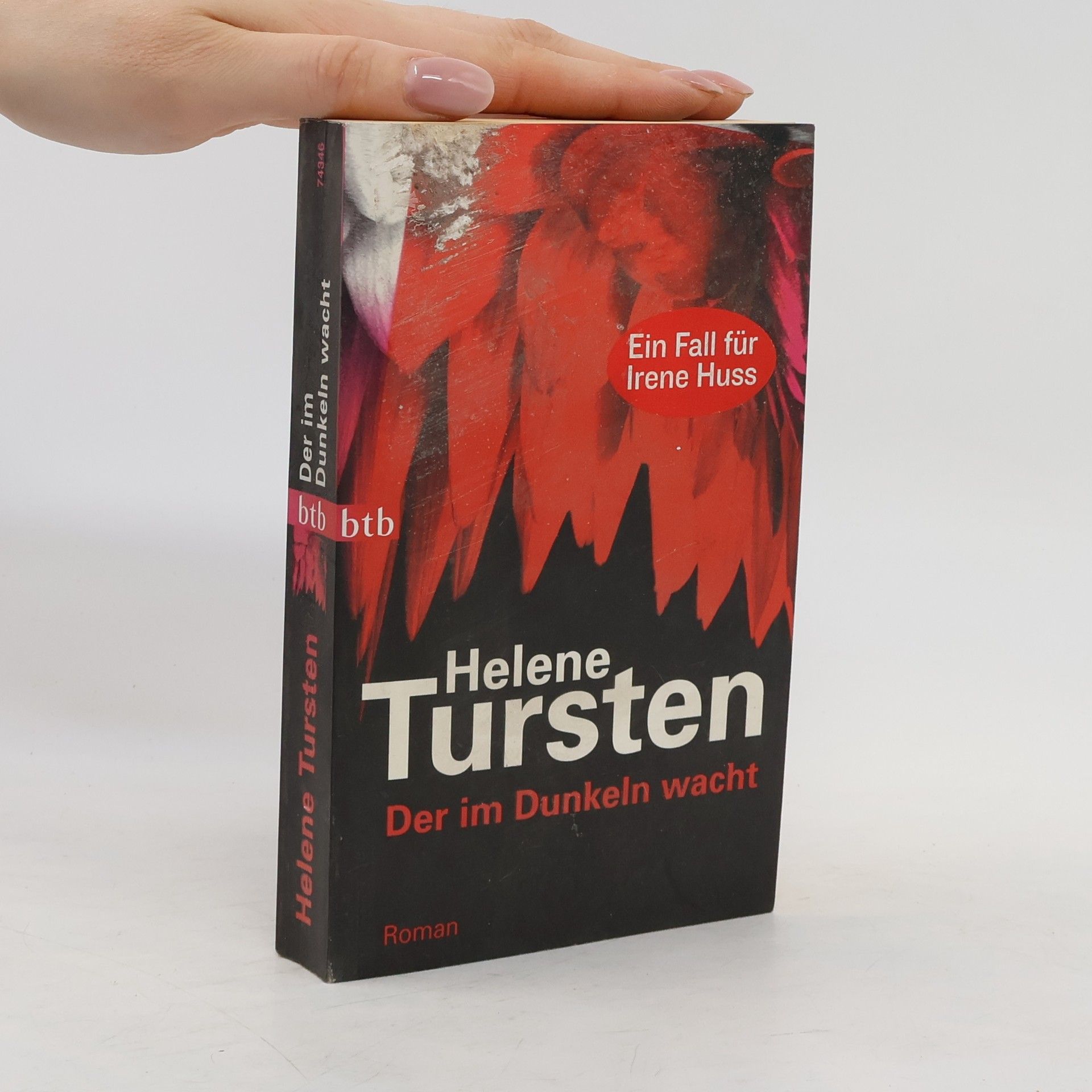Helene Tursten Der im Dunkeln wacht