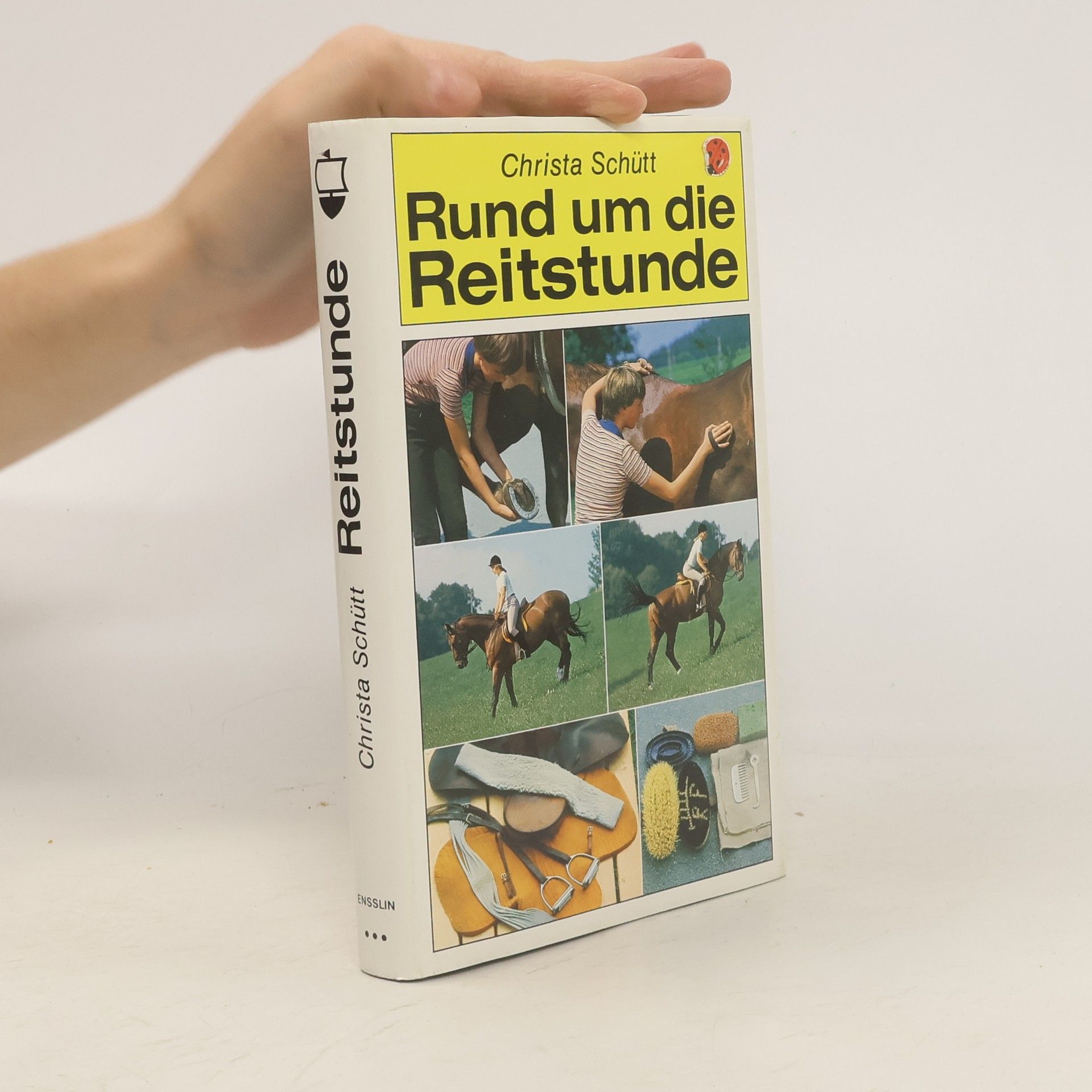 Christa Schütt Rund um die Reitstunde