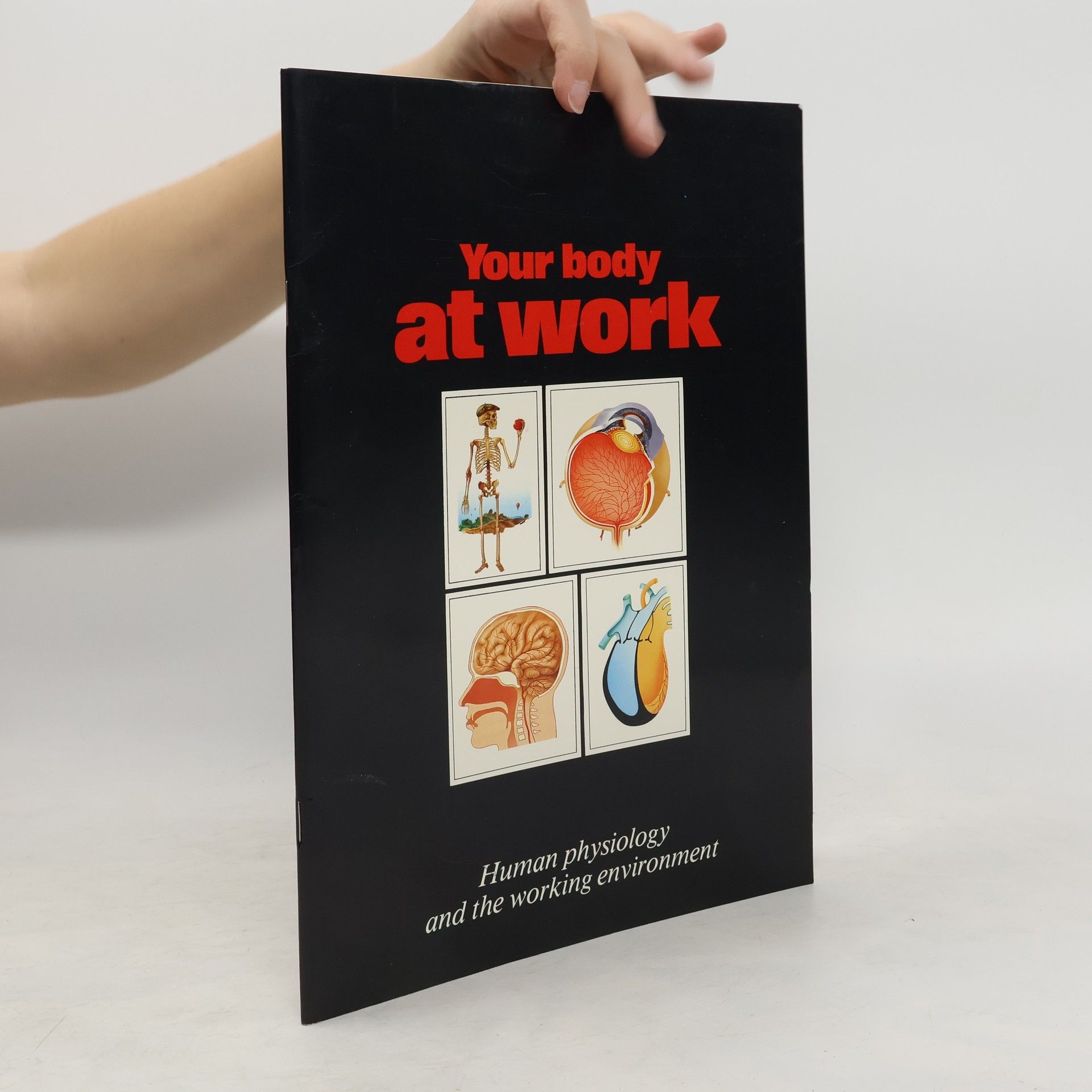 Autorenkollektiv Your Body At Work