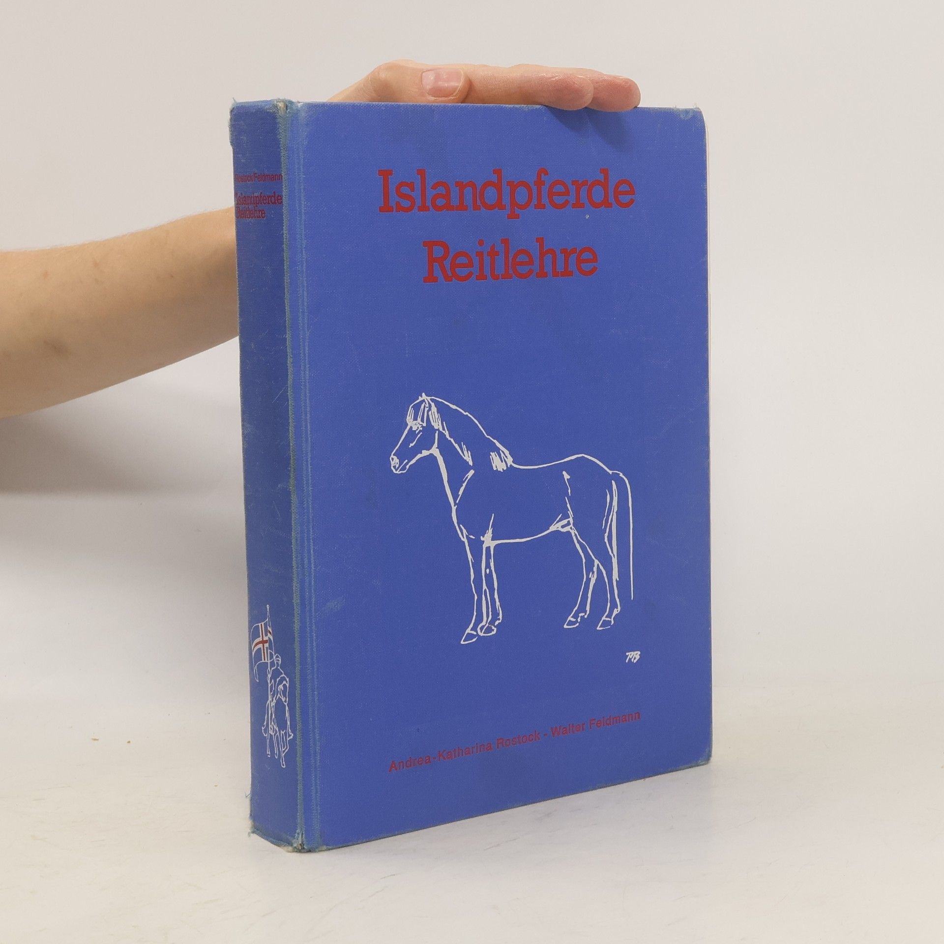 Andrea-Katherina Rostock Islandpferde - Reitlehre