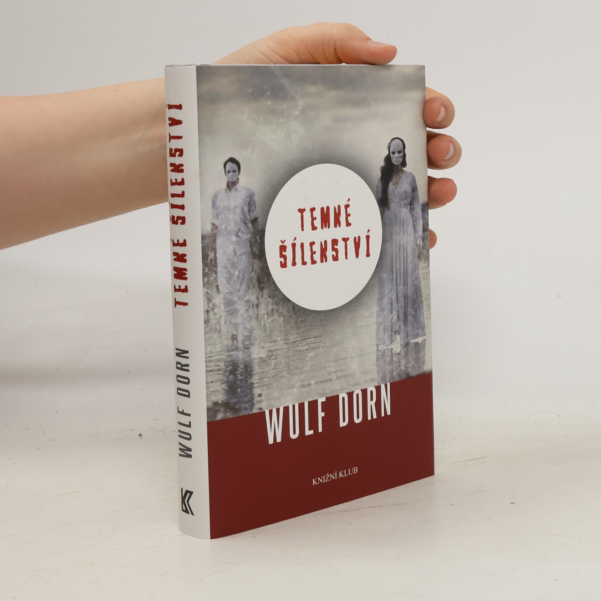 Wulf Dorn Temné šílenství