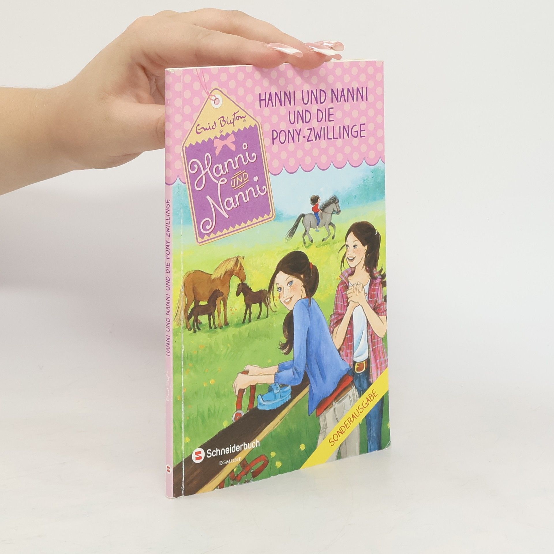 Enid Blyton Hanni und Nanni und die Pony-Zwillinge